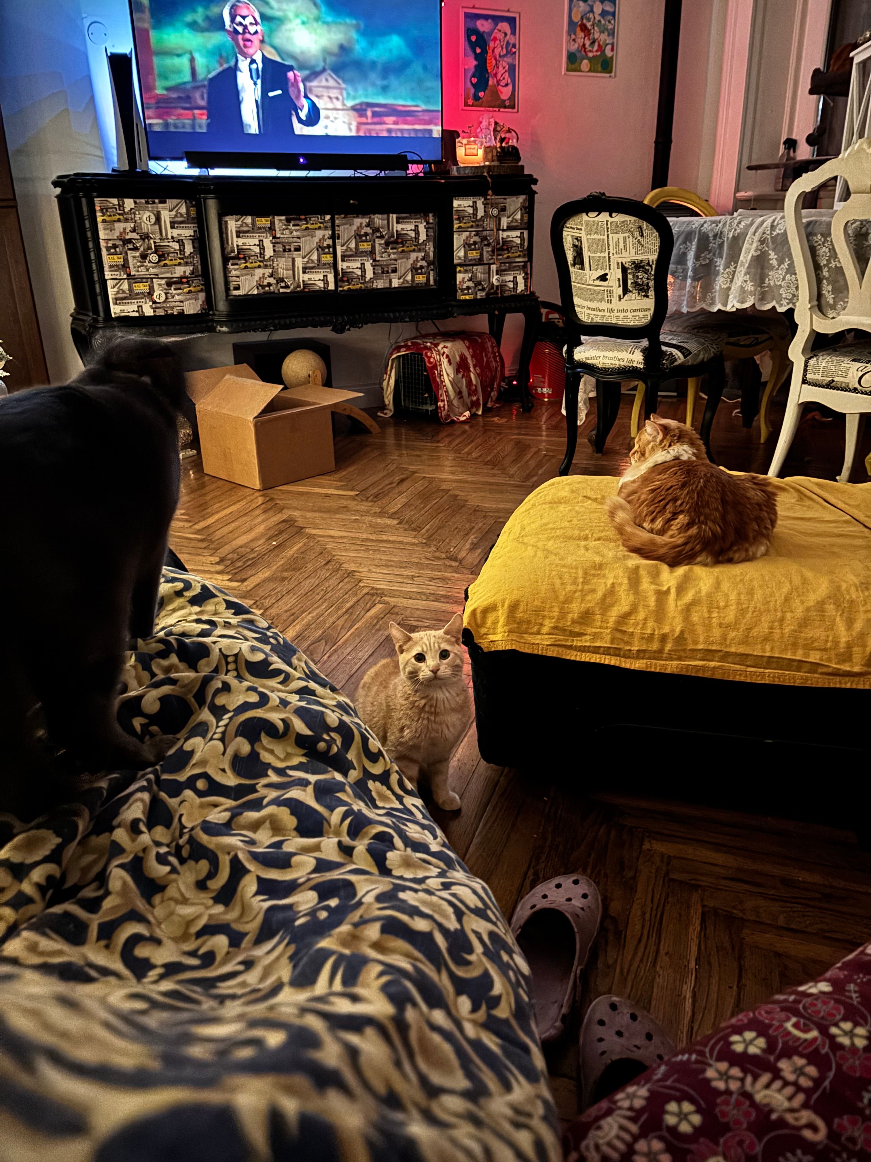 image-19