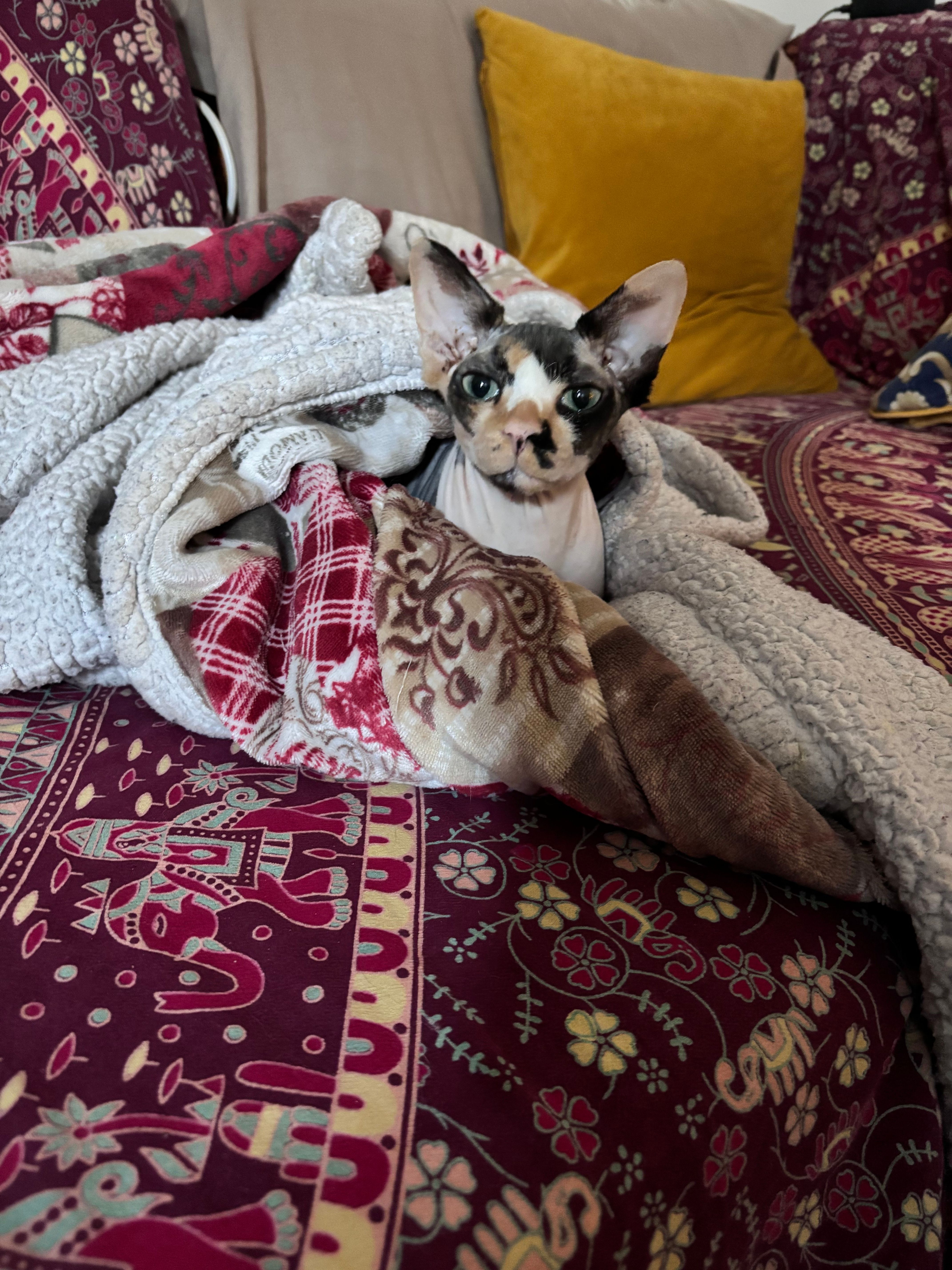 image-10