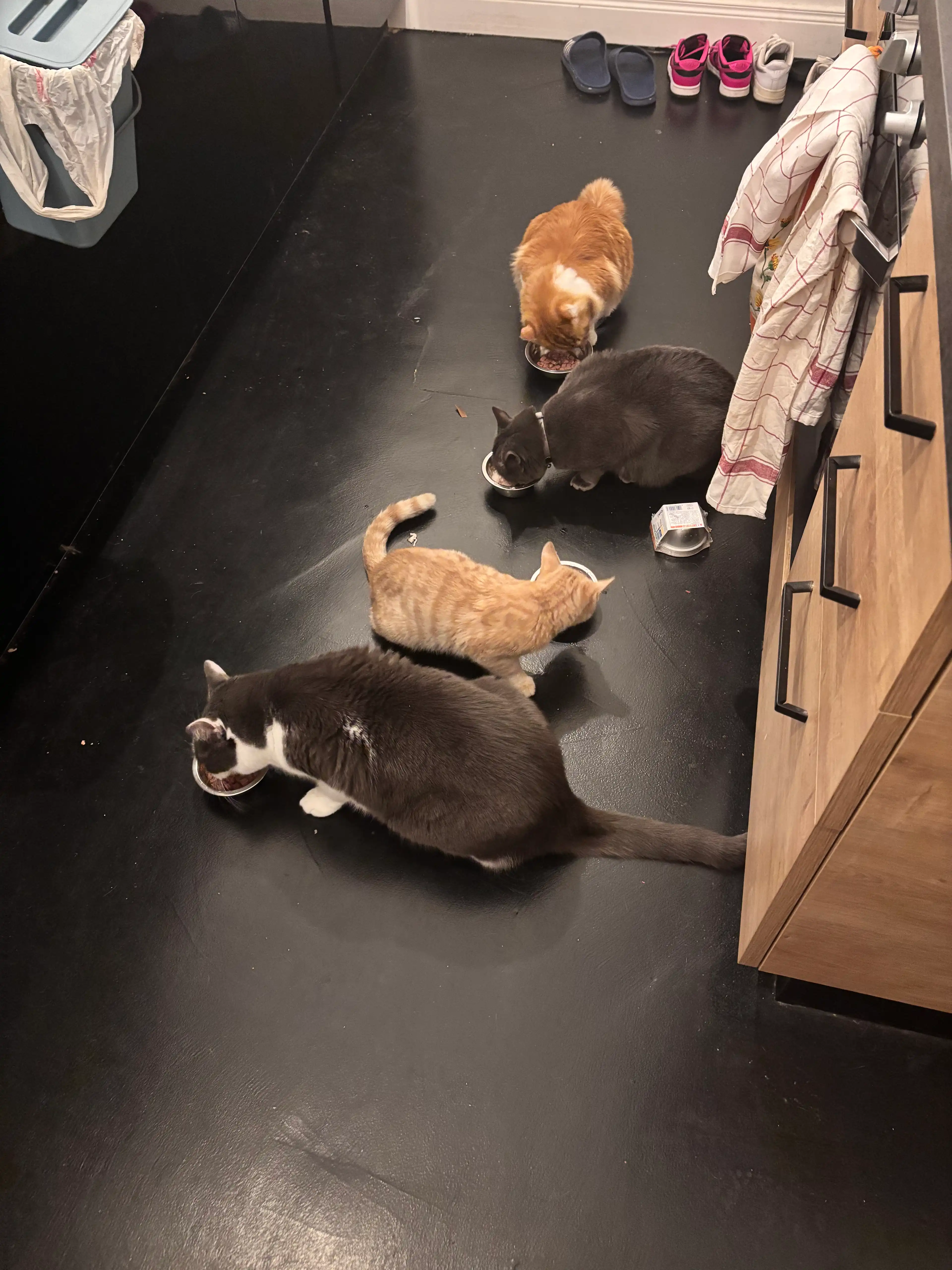 image-9