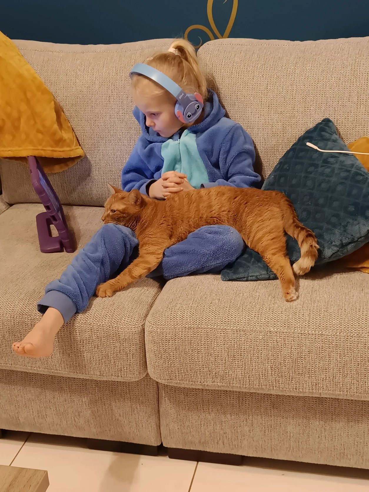 image-7