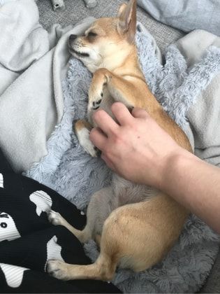 image-8