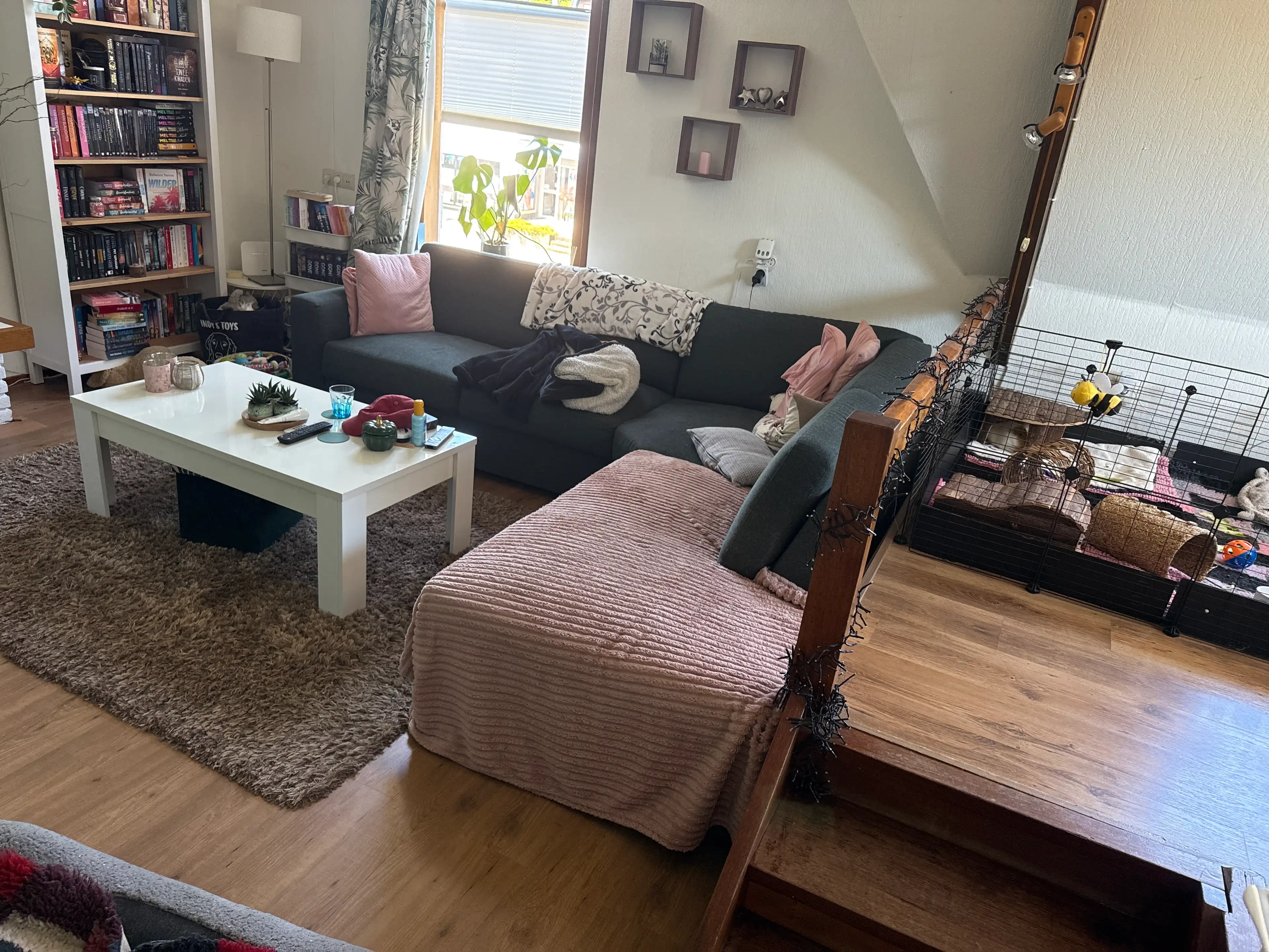 image-12