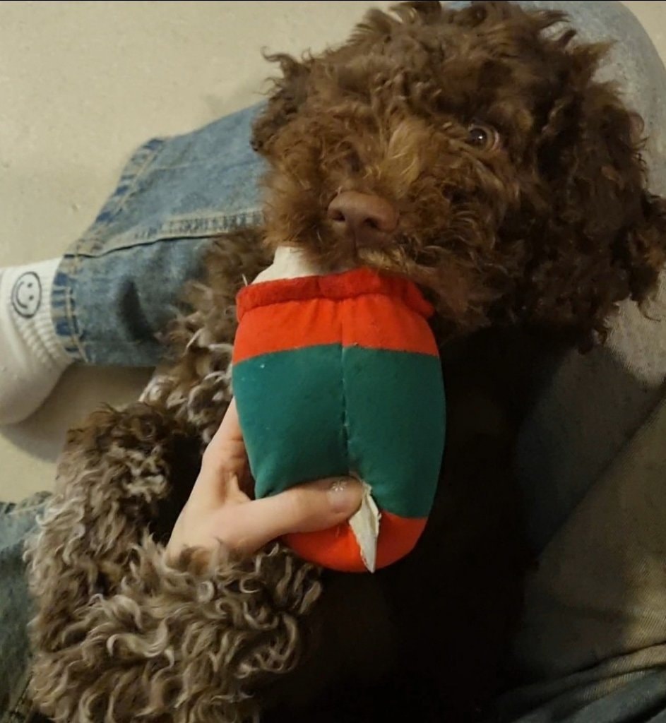 image-9