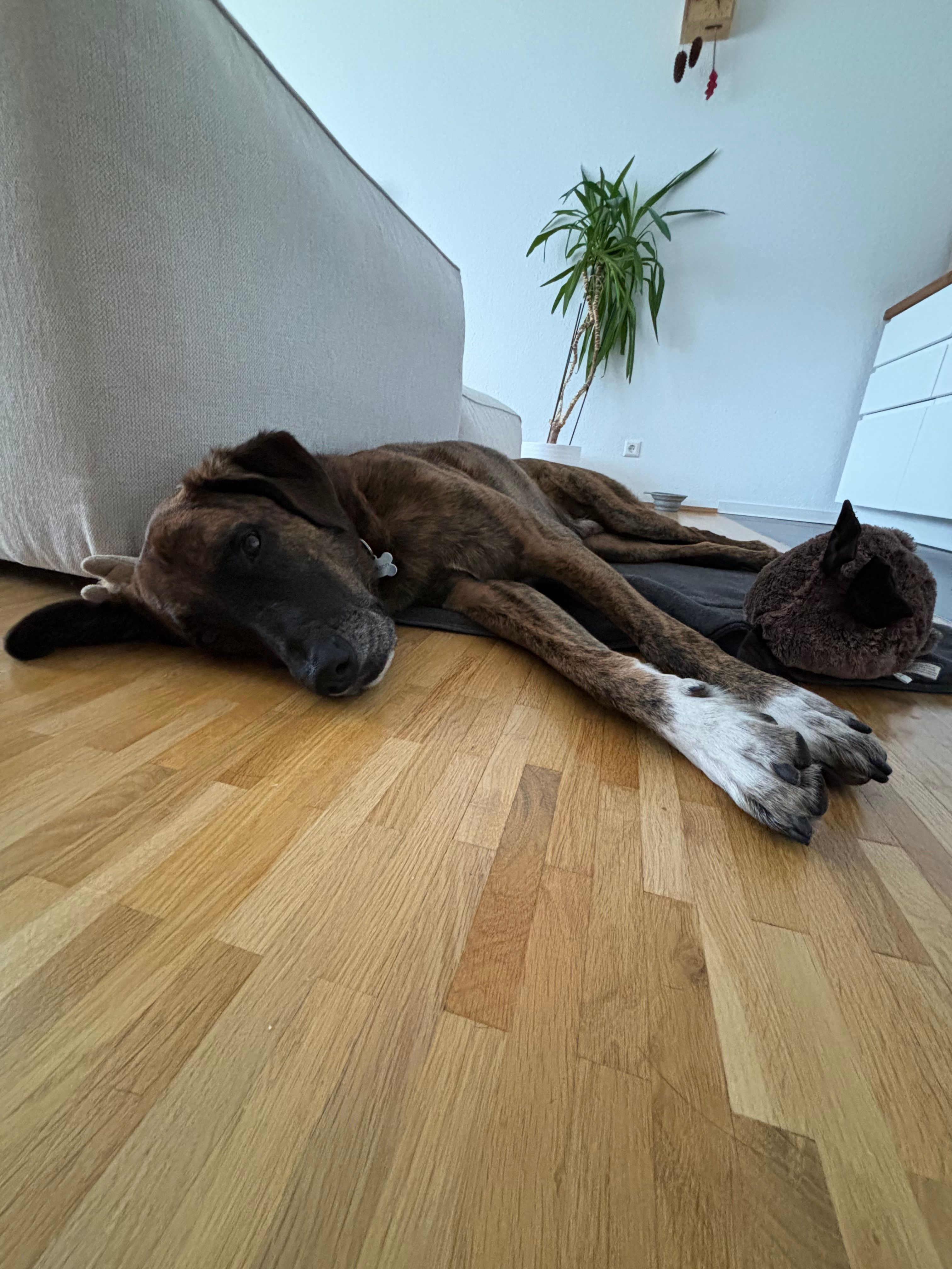 image-15