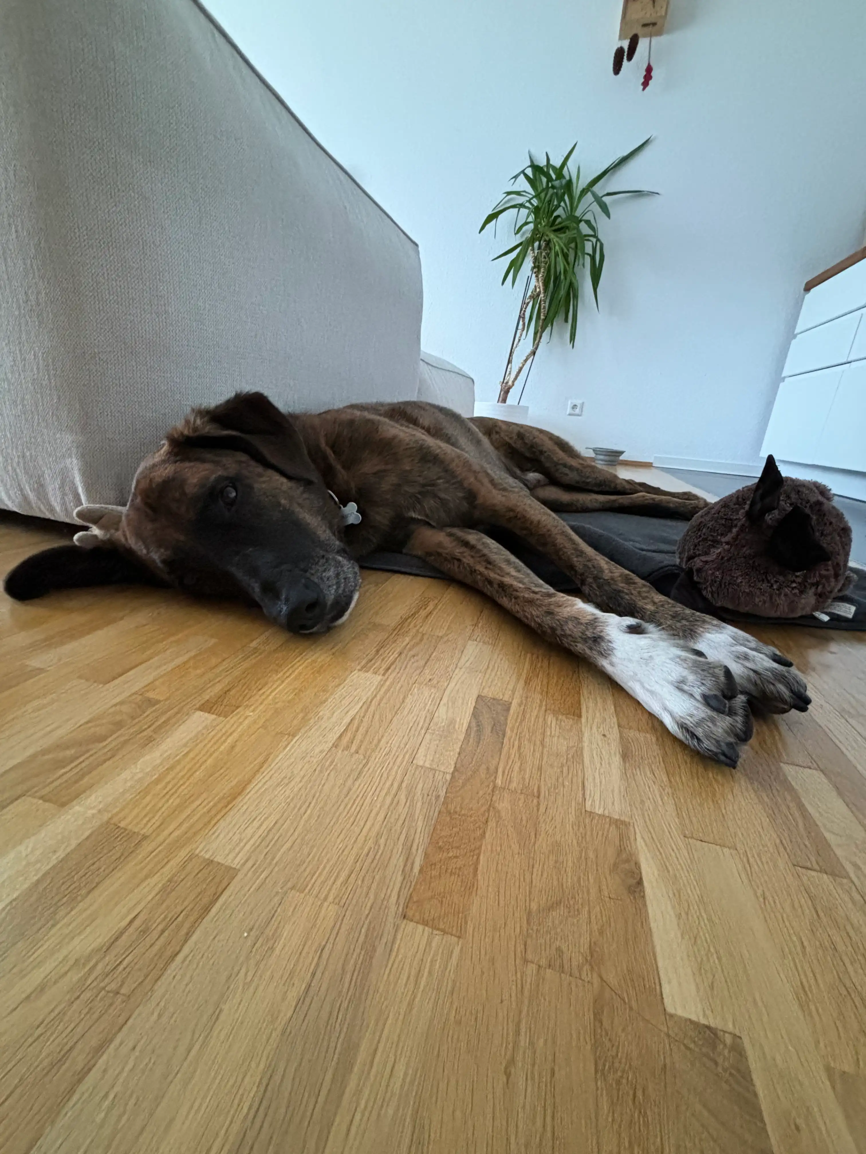 image-15