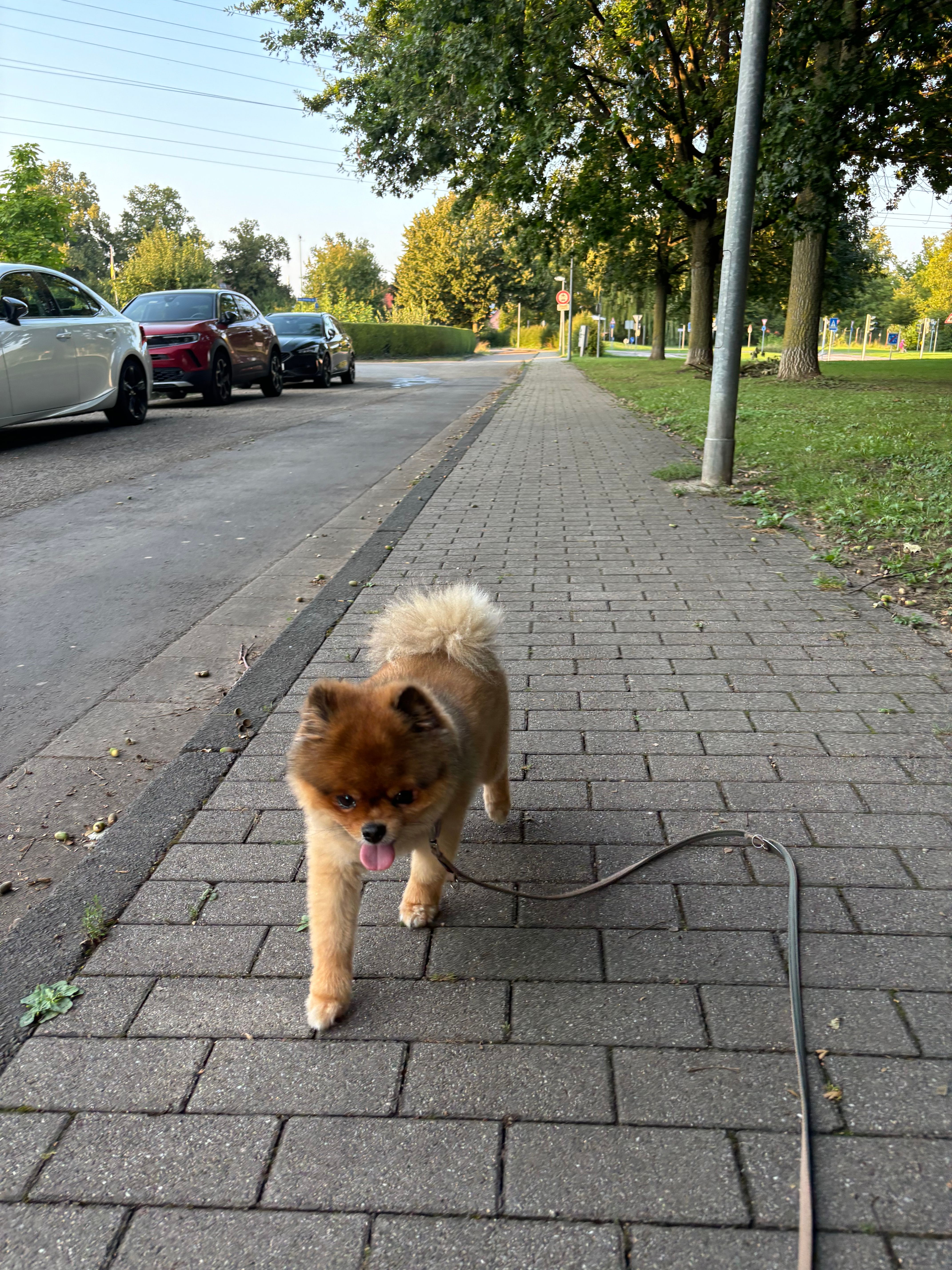 image-22