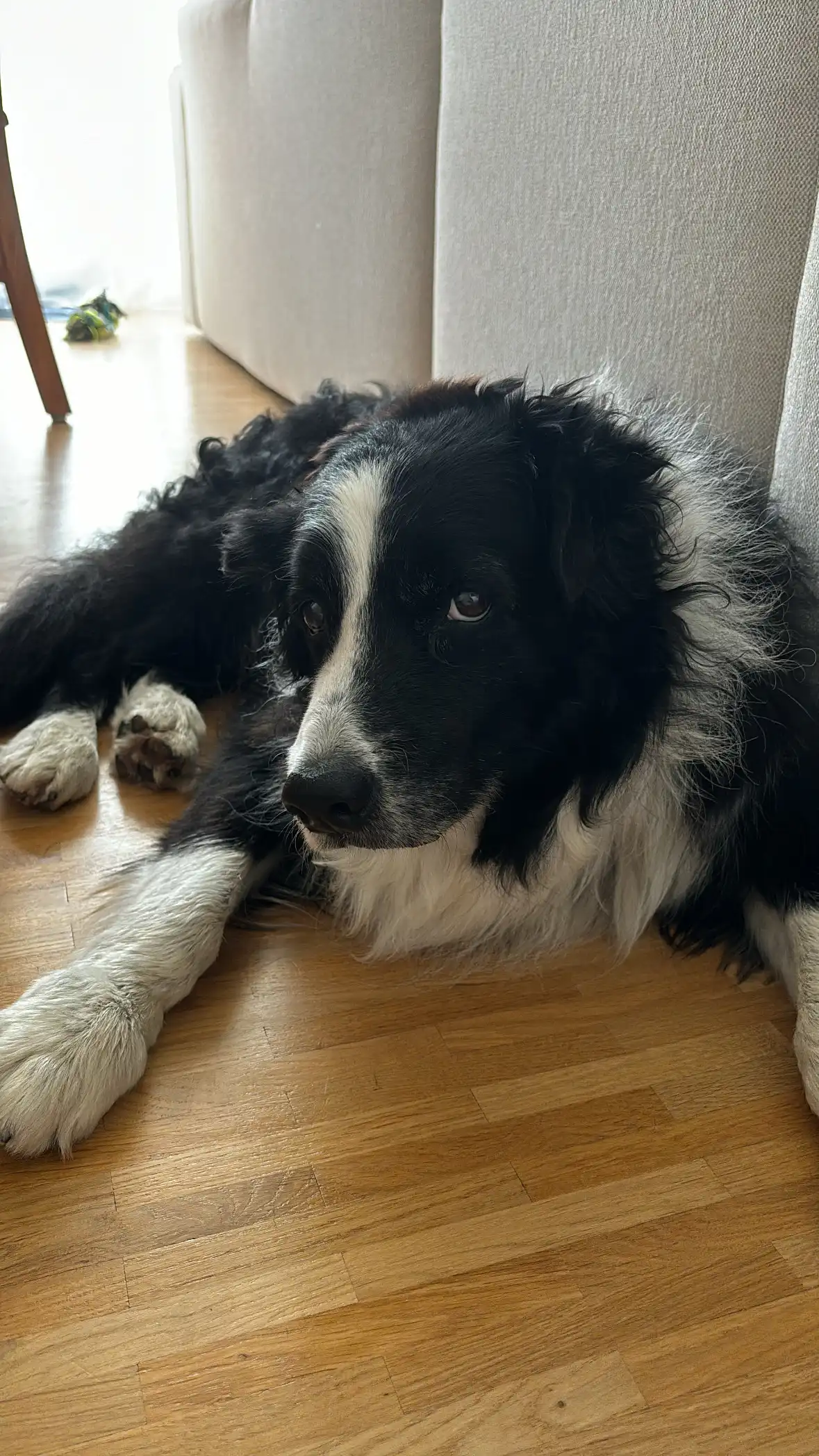 image-14