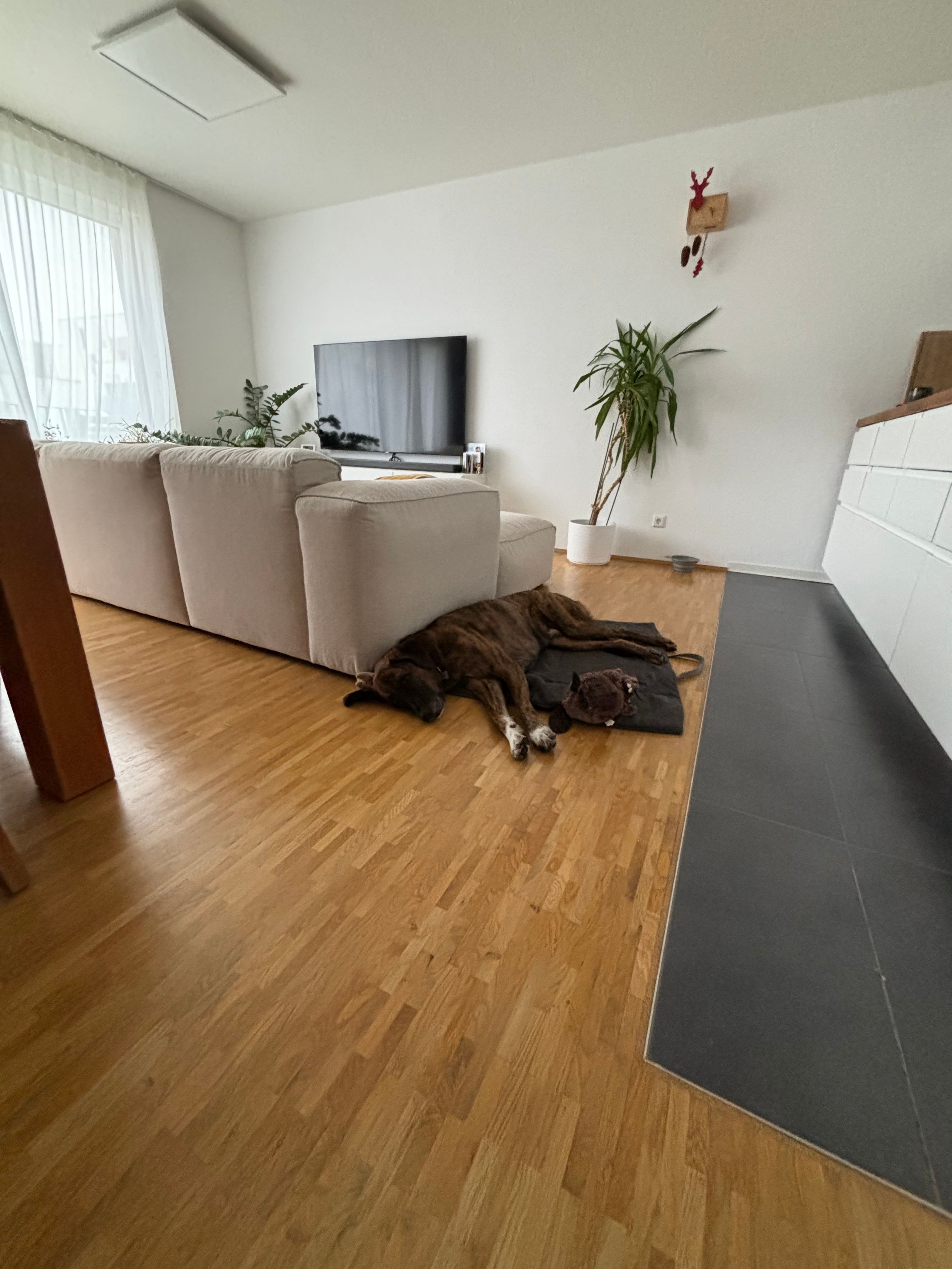 image-19