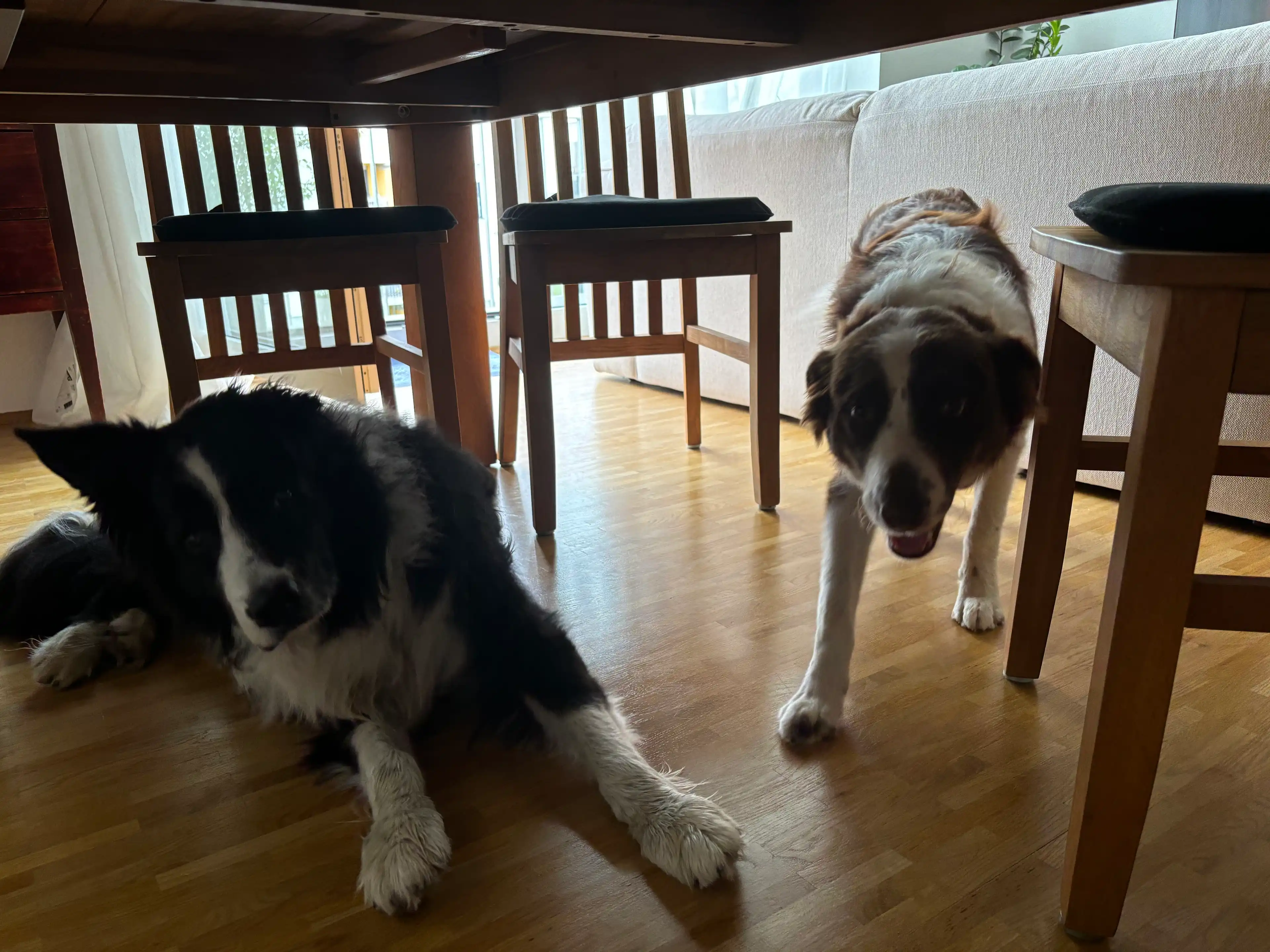 image-27