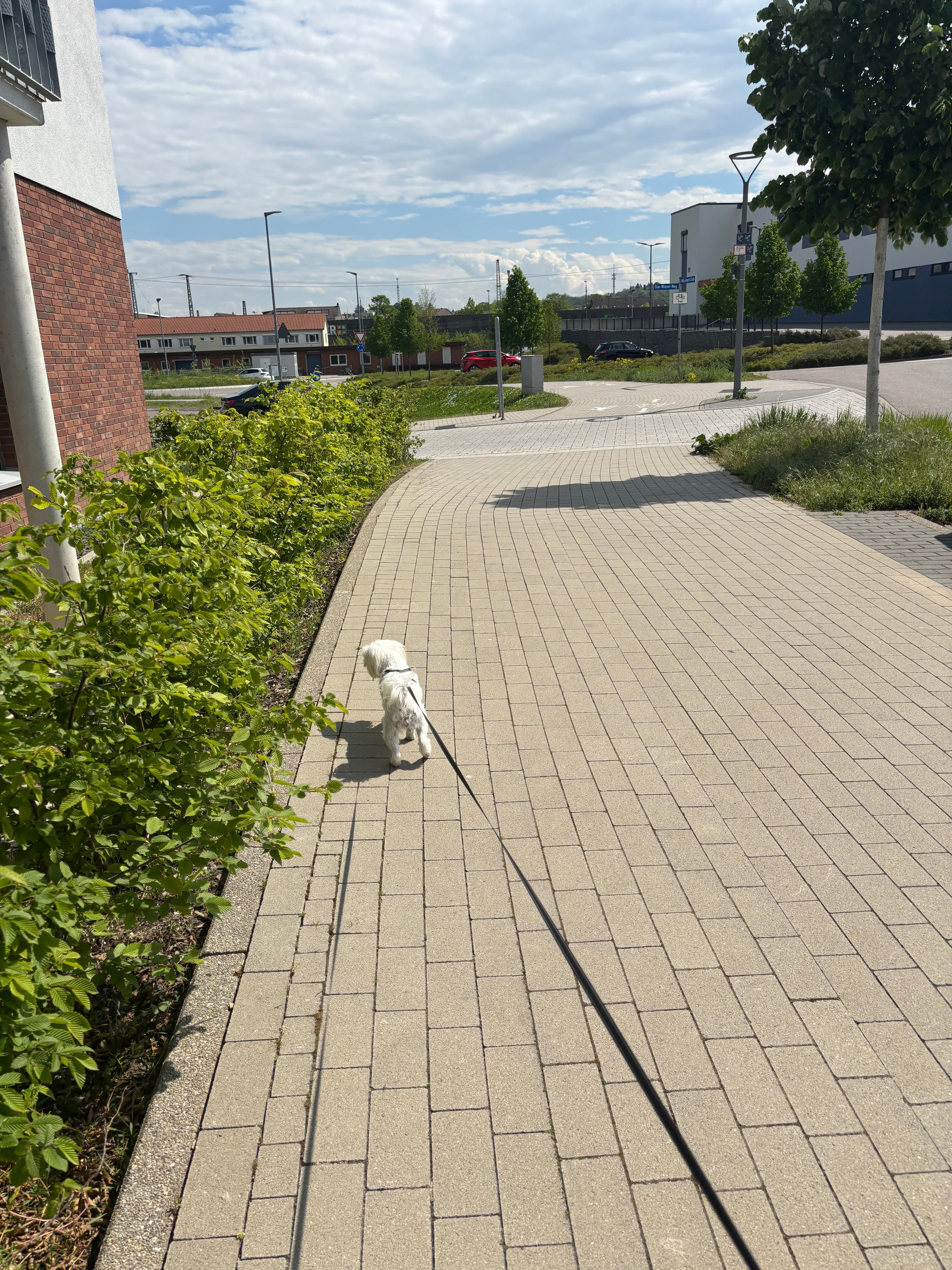 image-26