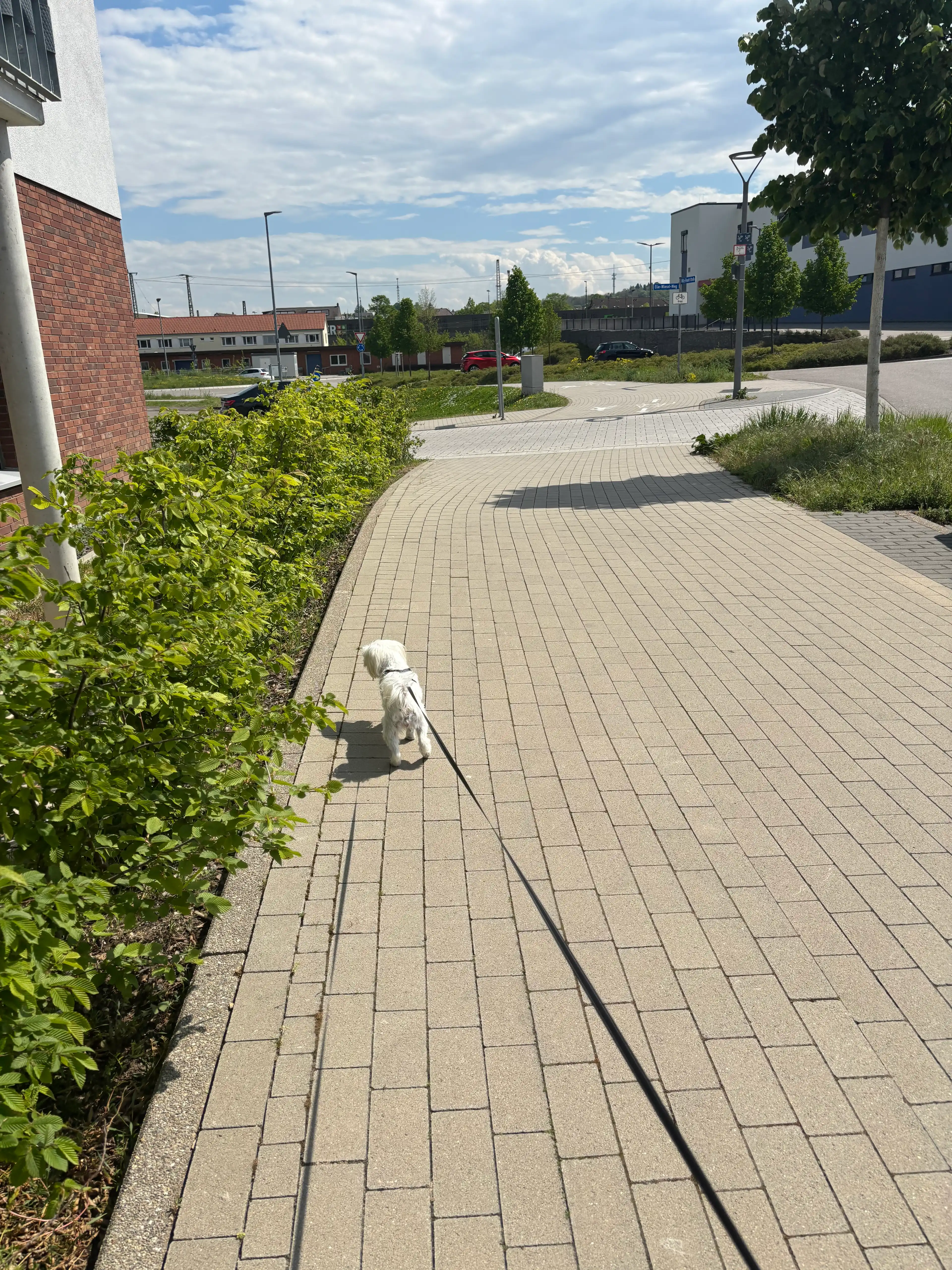 image-26