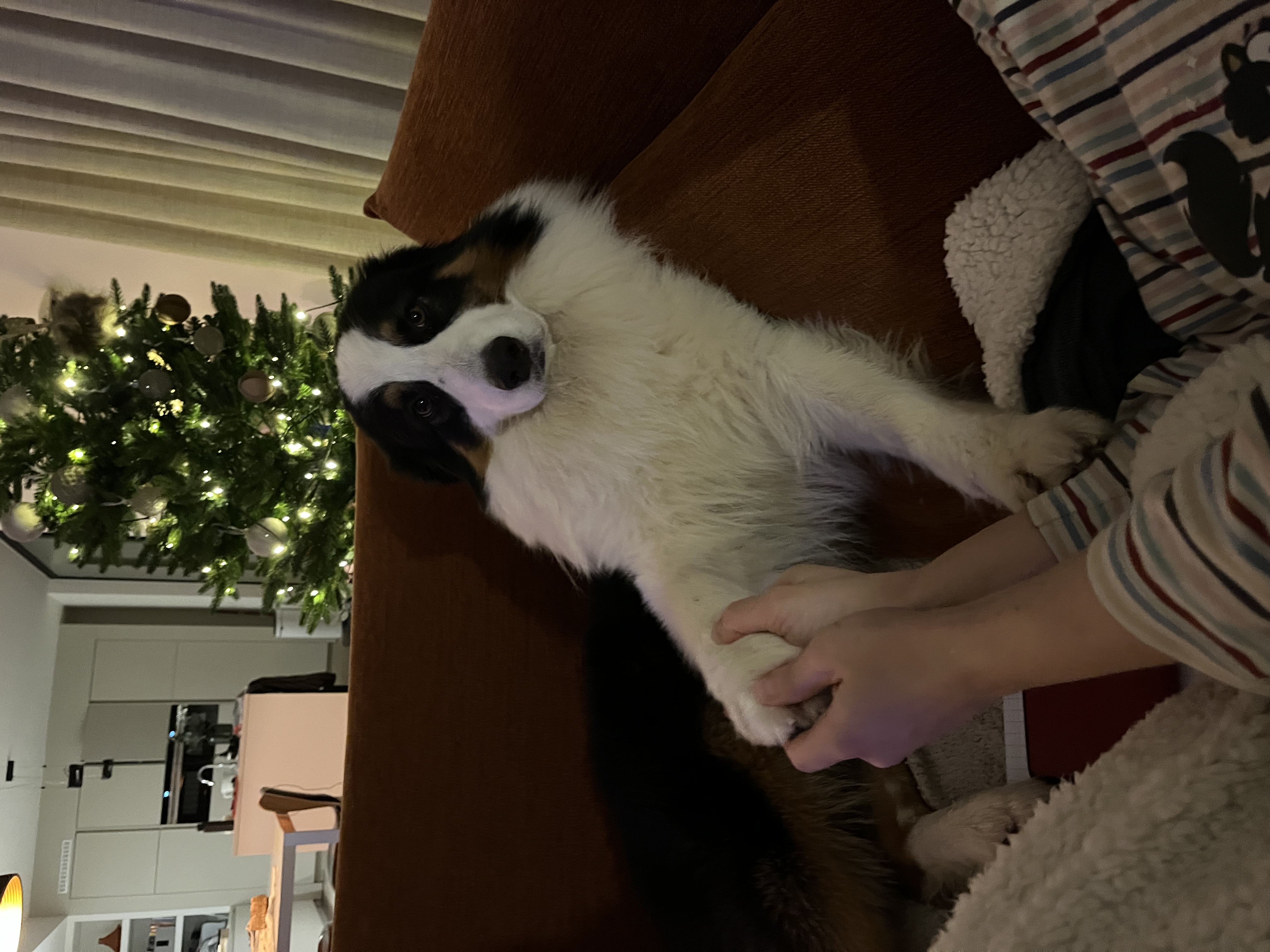 image-13
