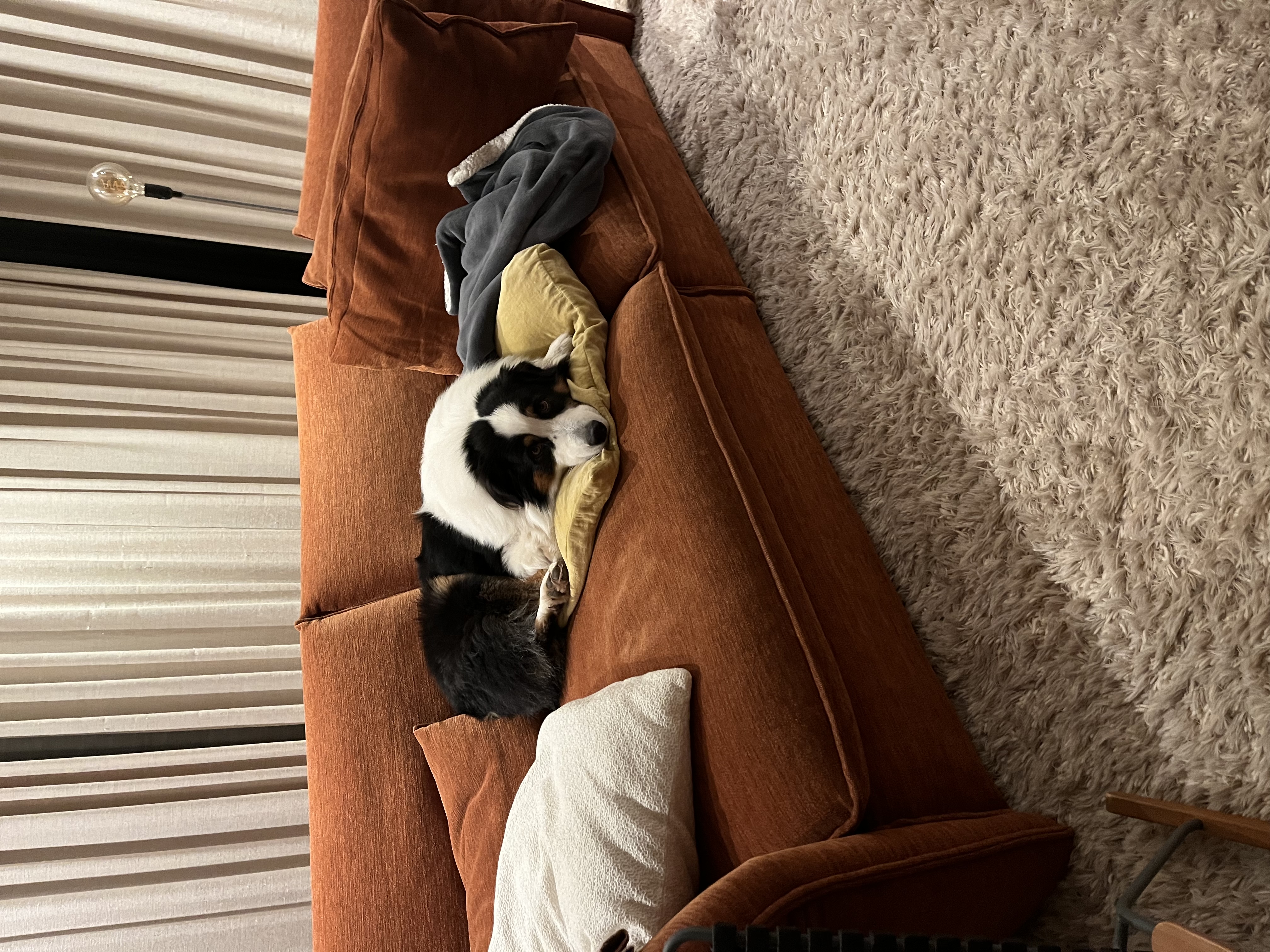 image-12