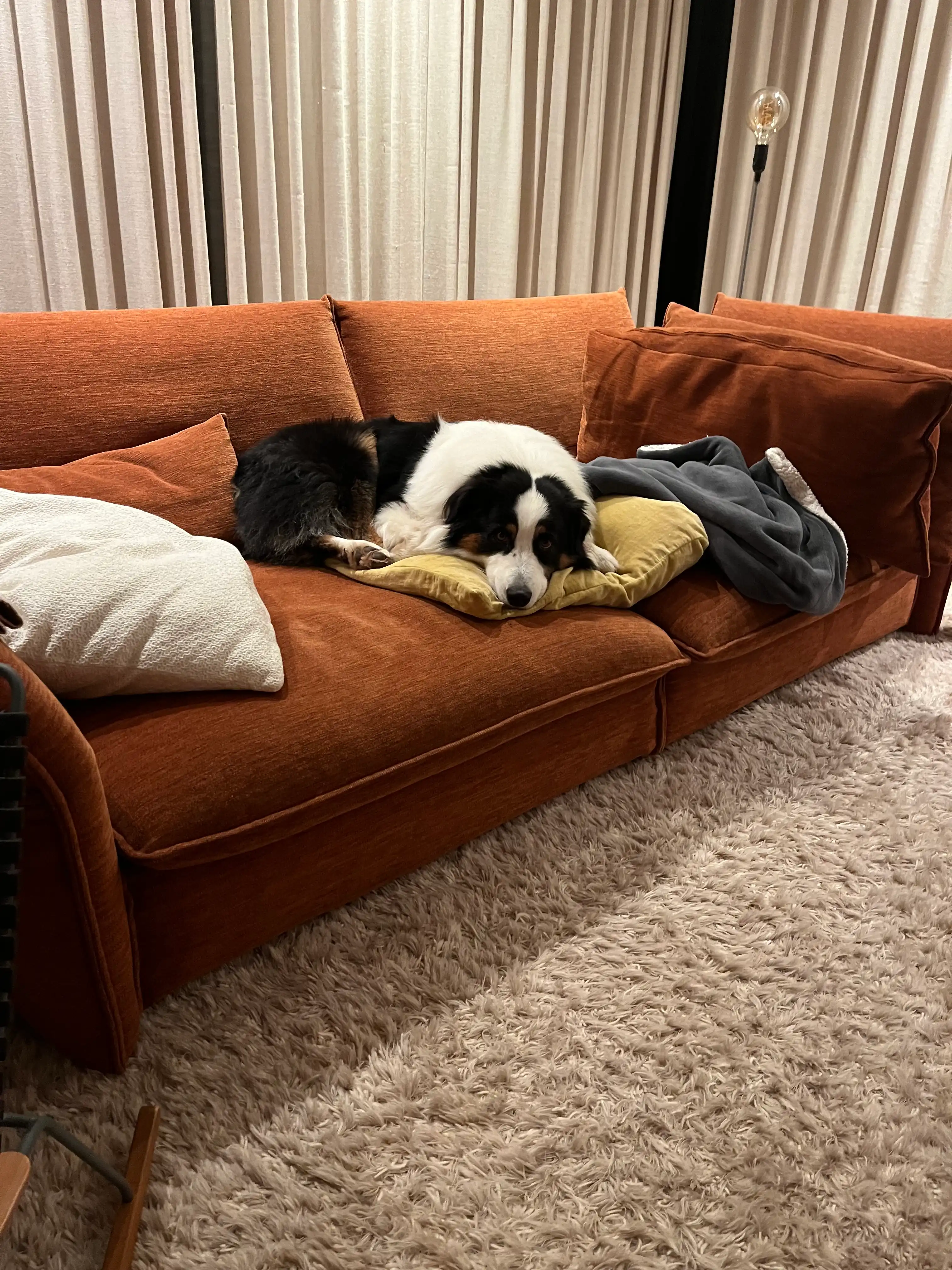 image-12