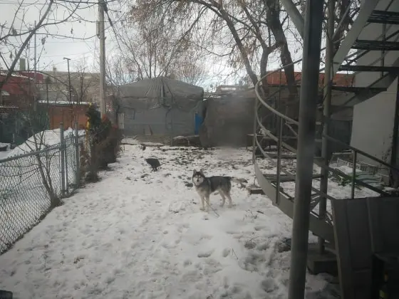 image-0