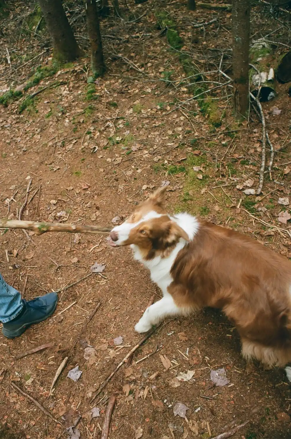 image-11