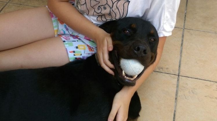 image-5