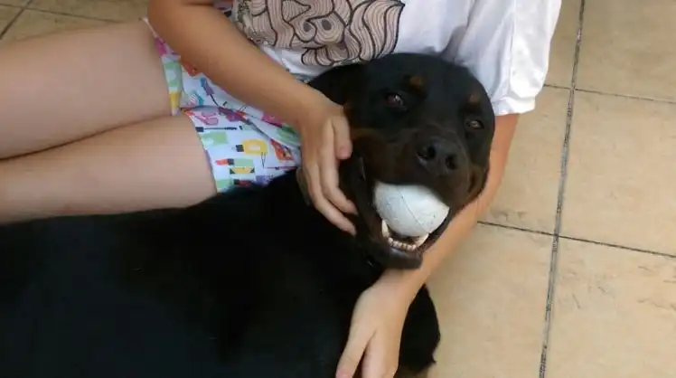 image-5