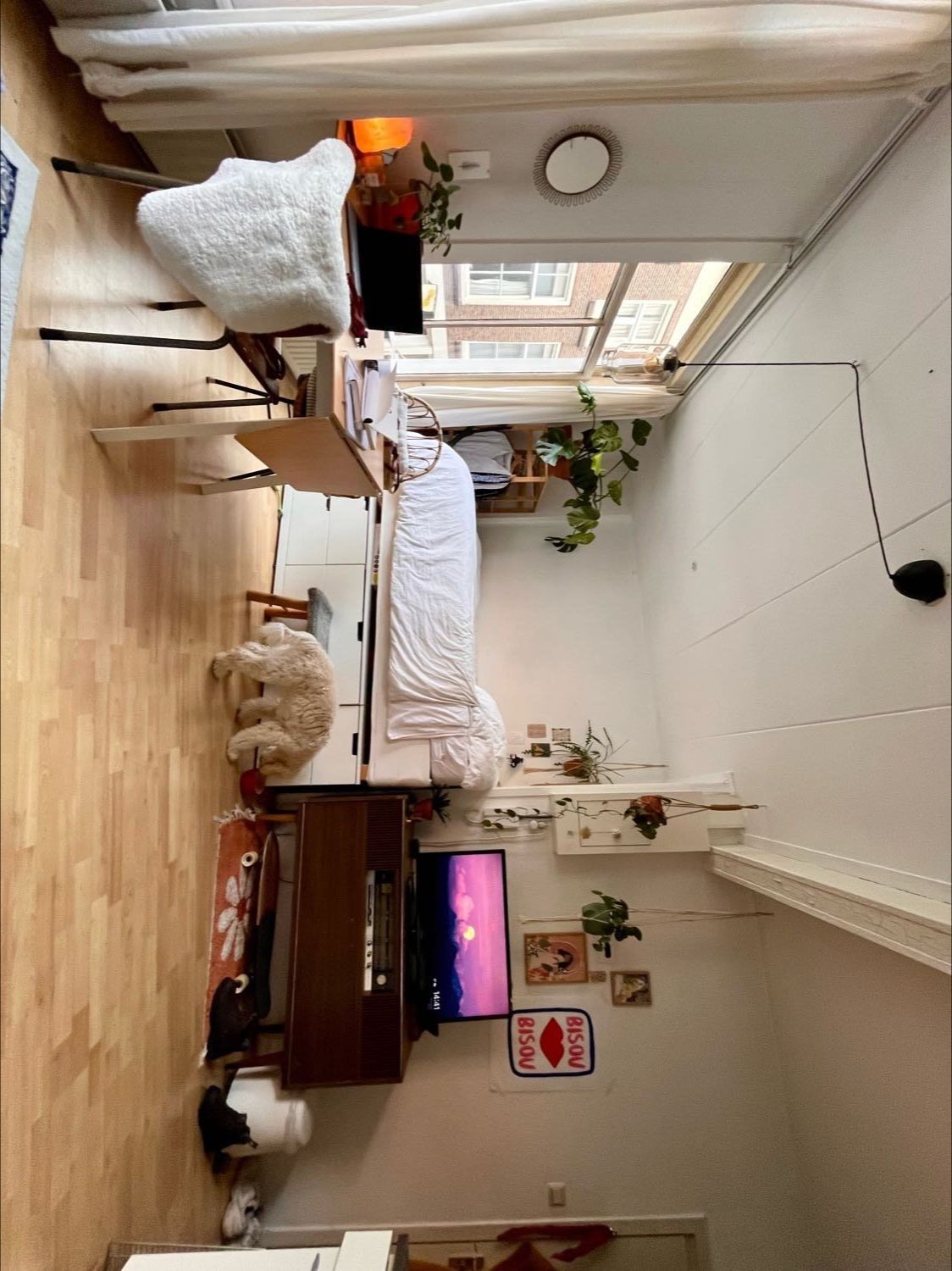 image-17