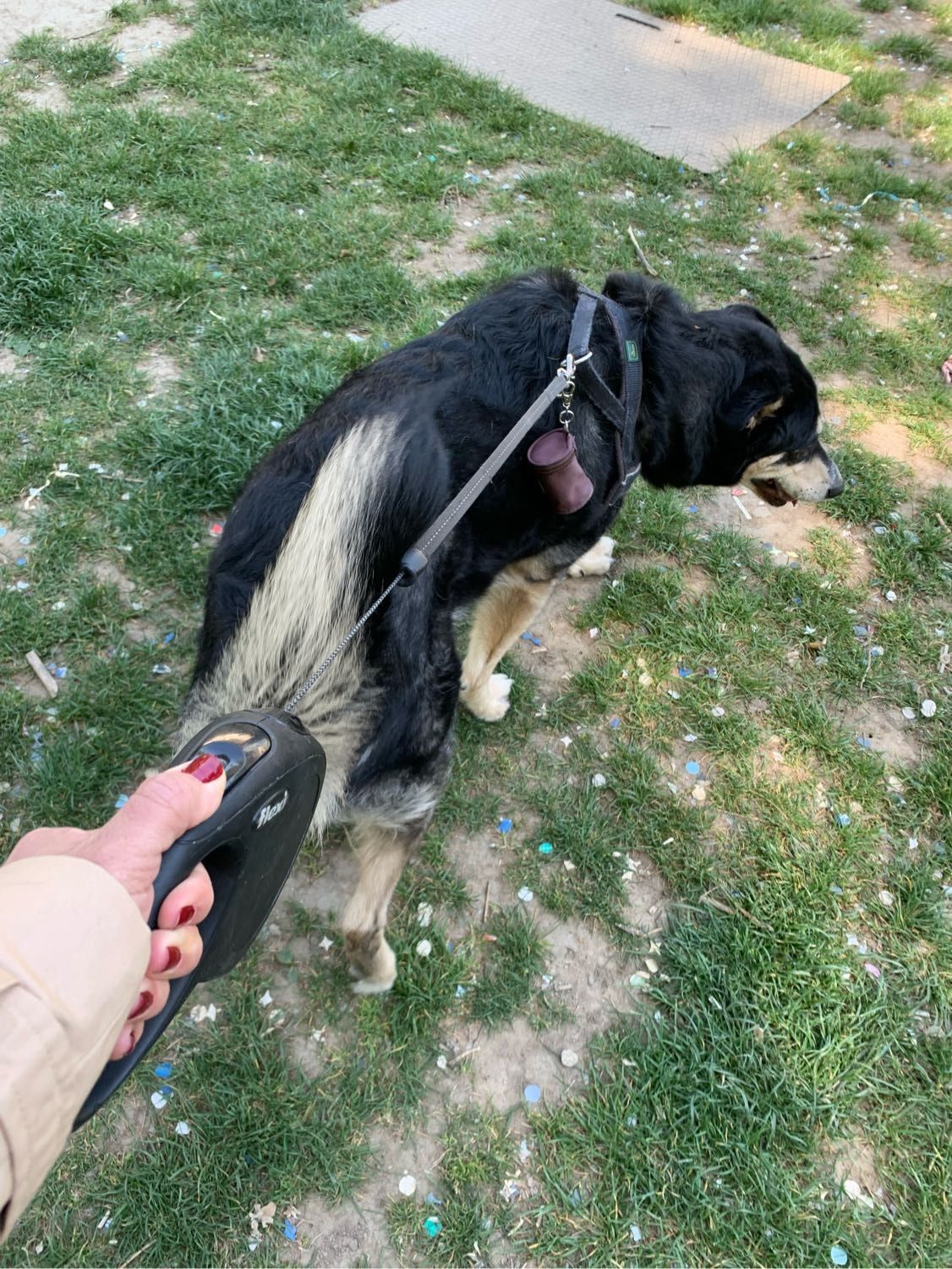 image-10