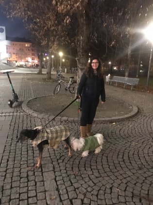 image-7