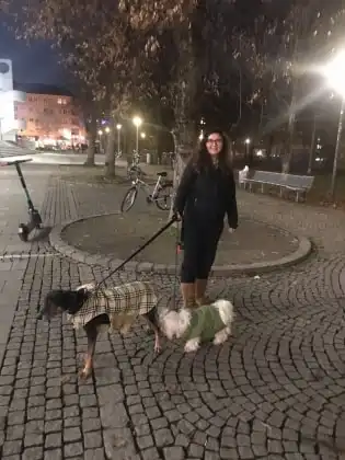 image-7