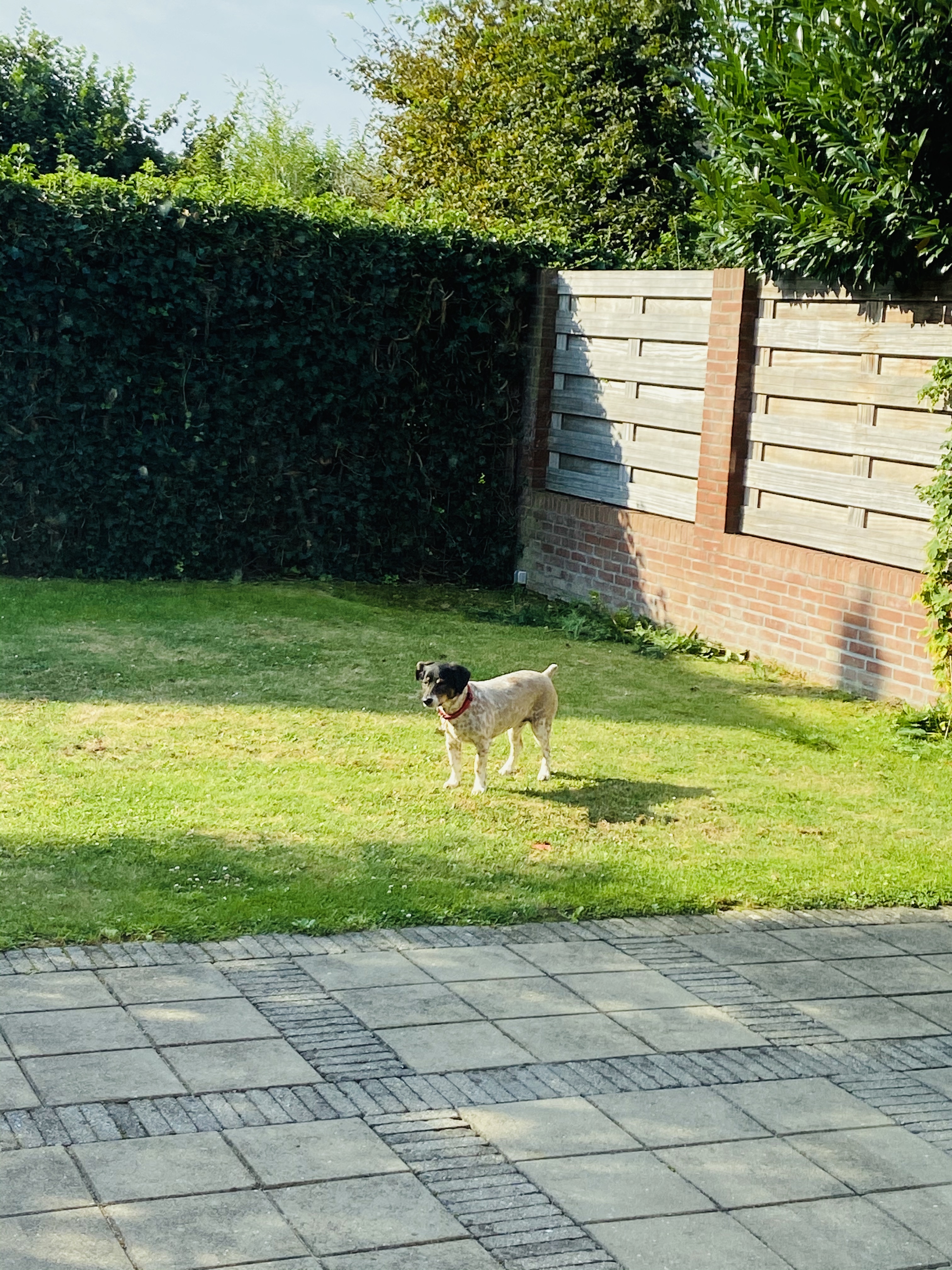 image-10