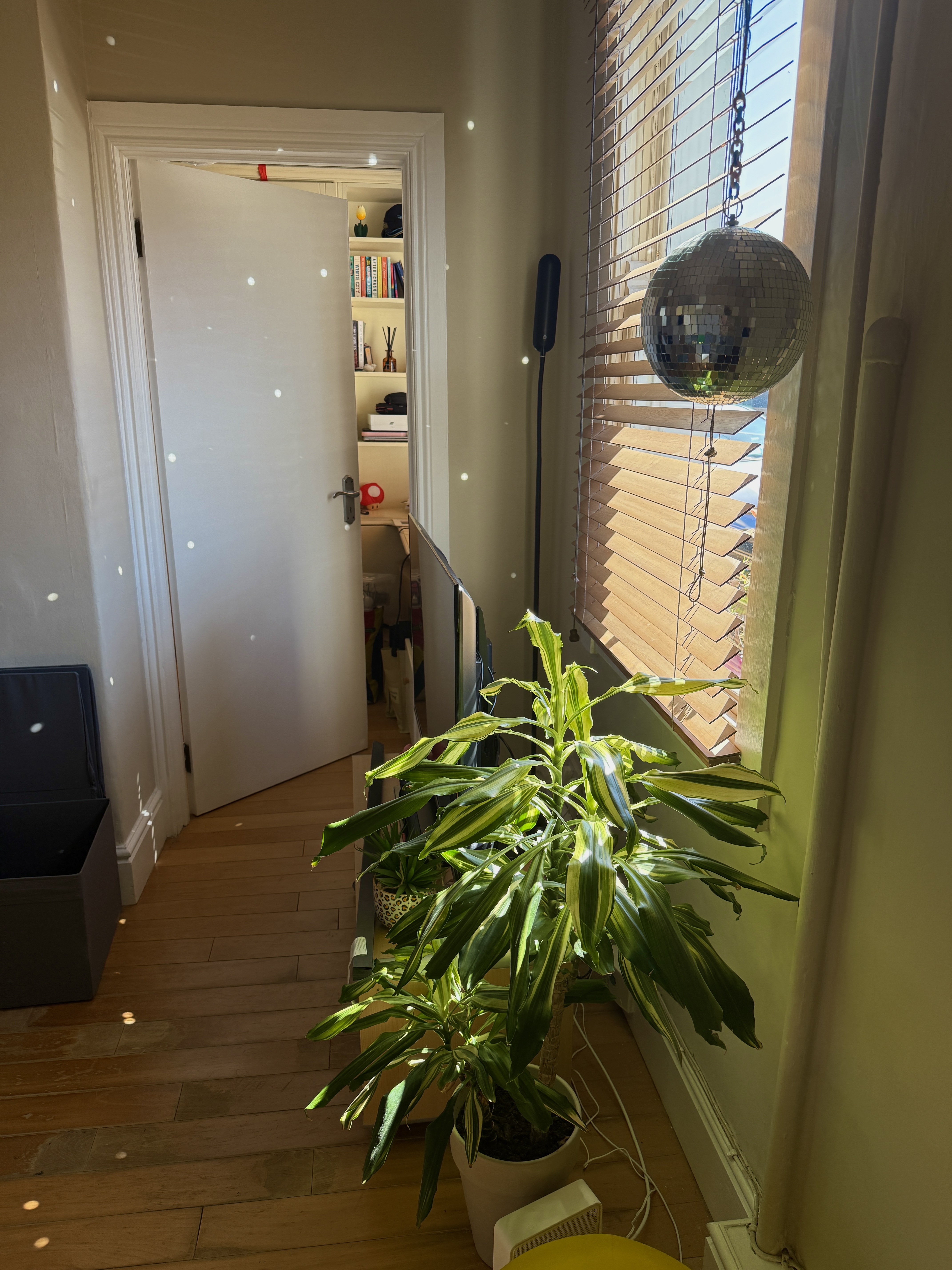 image-17