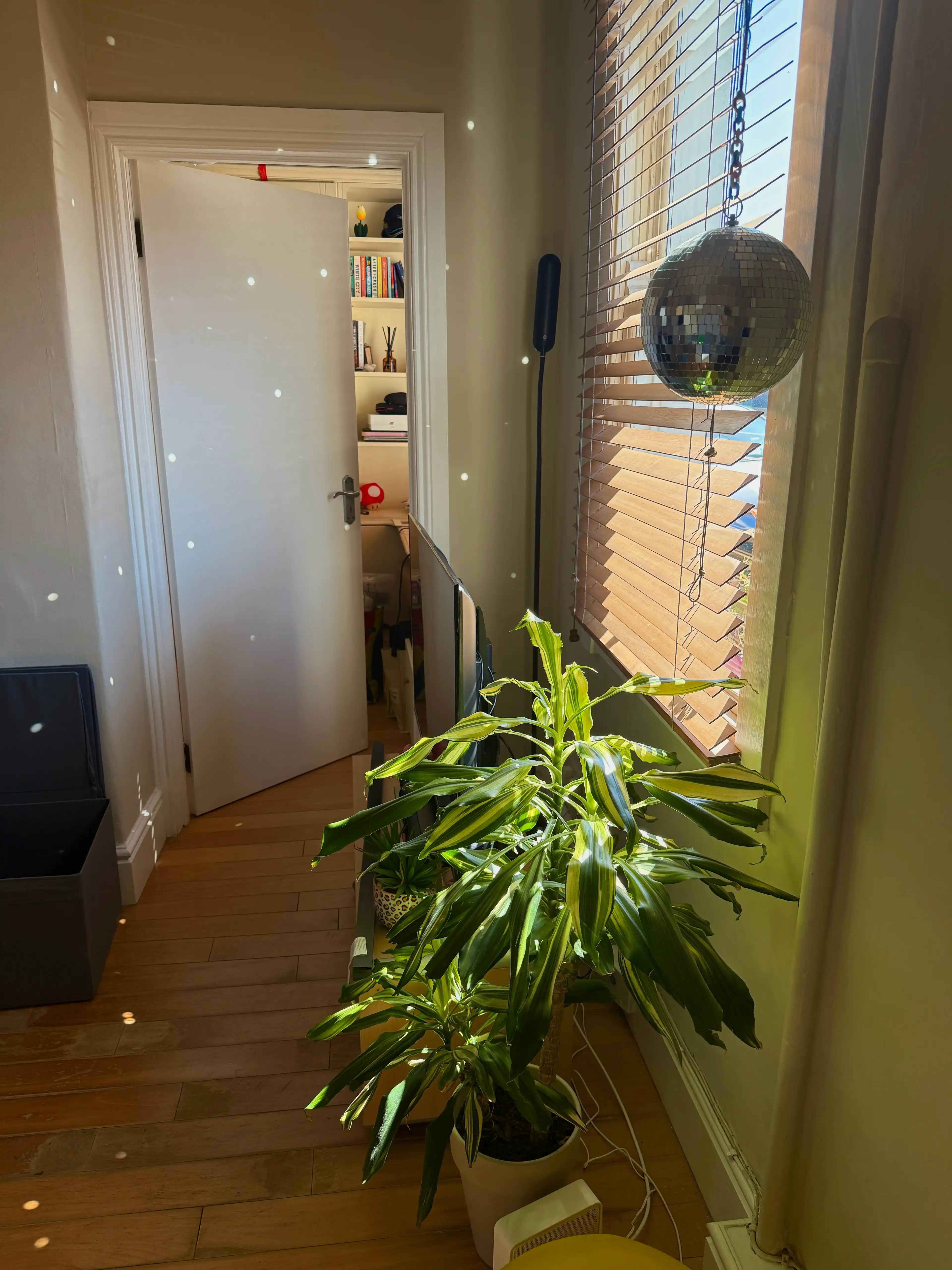 image-17