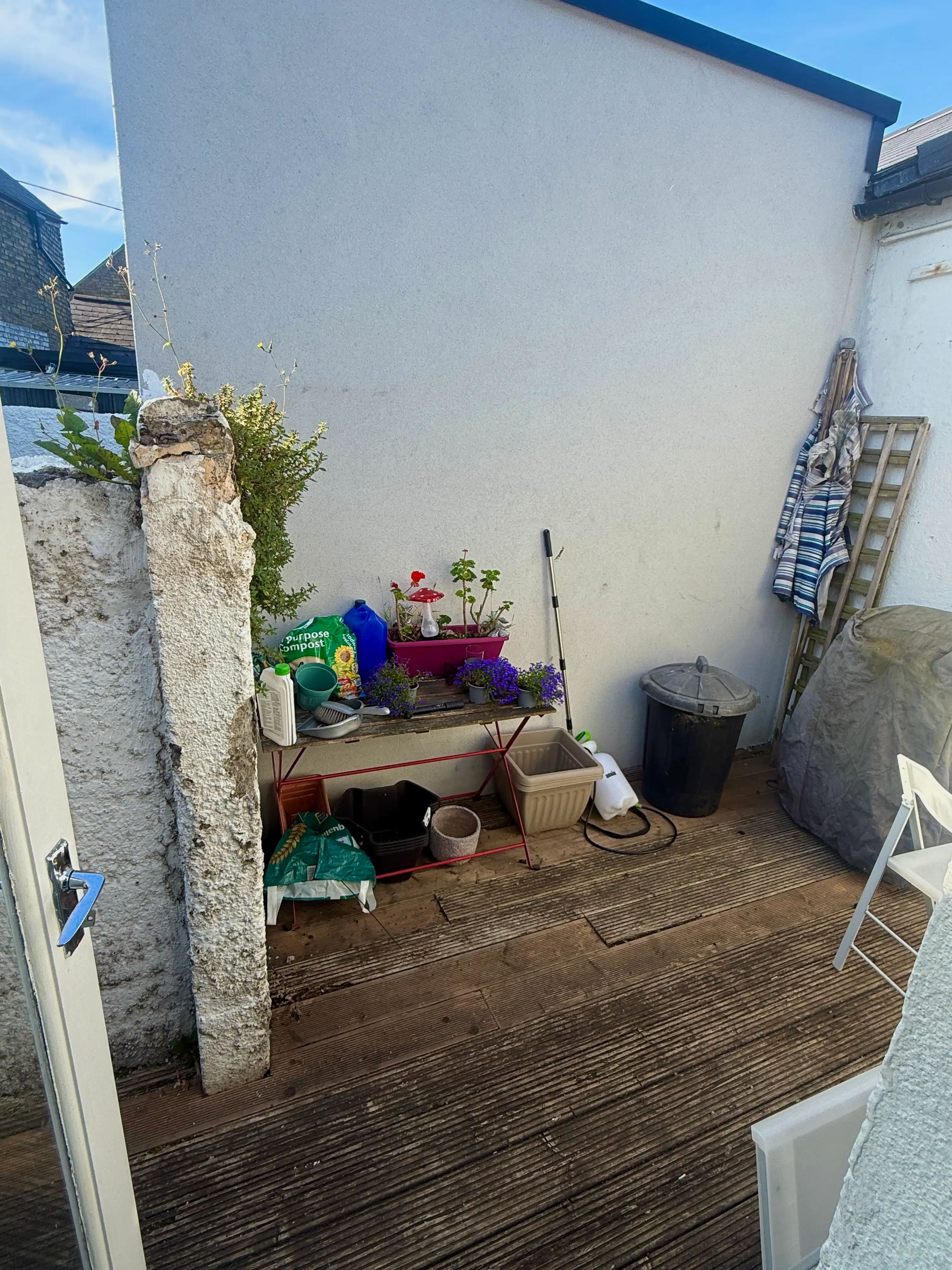 image-19