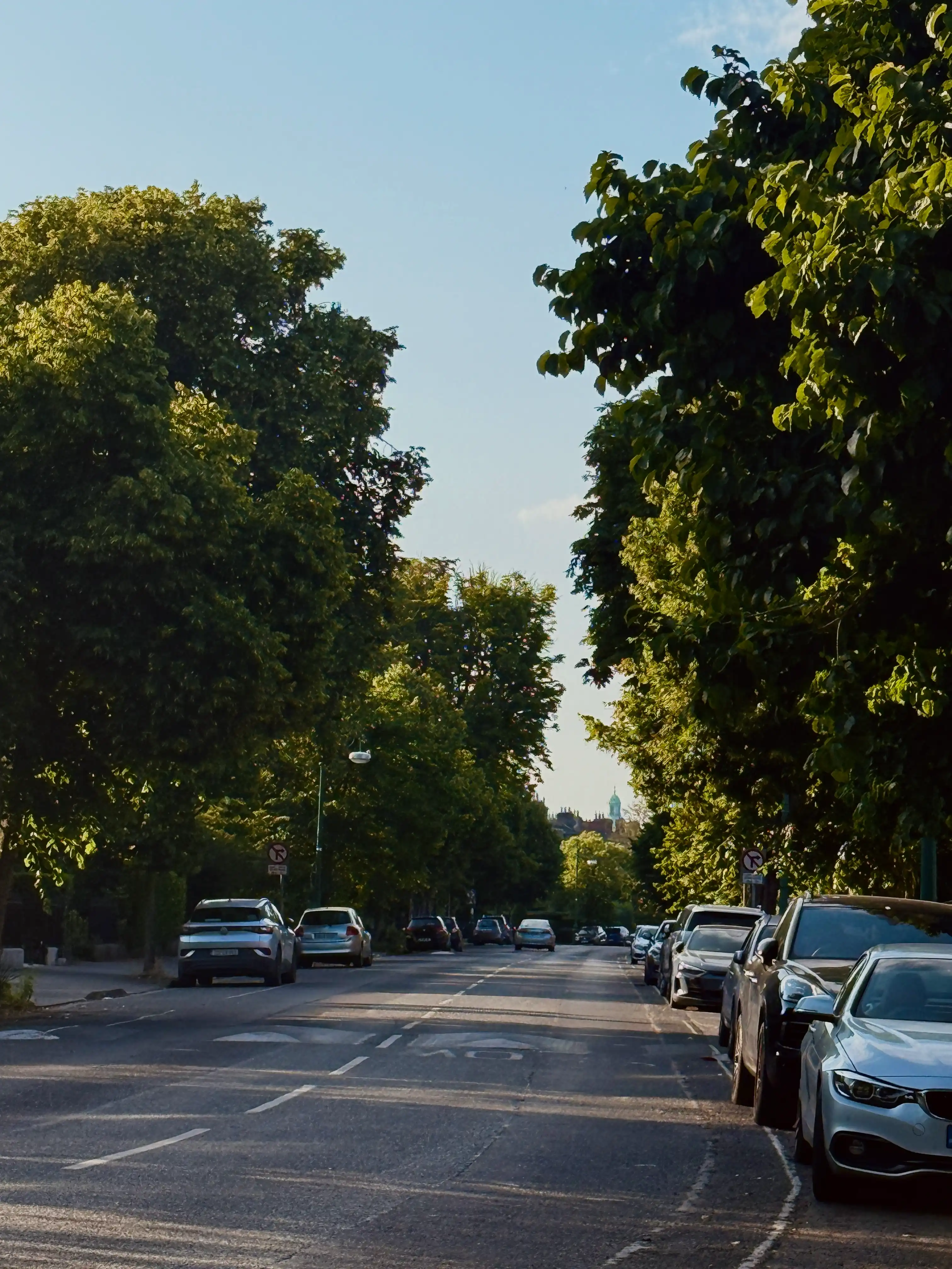 image-20