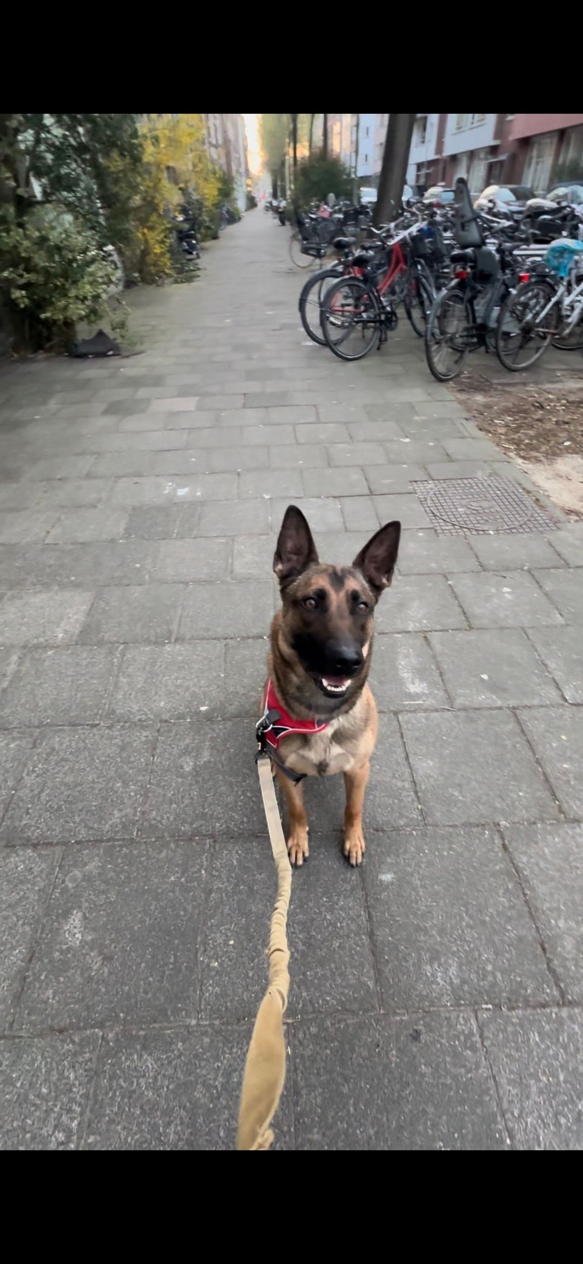 image-10