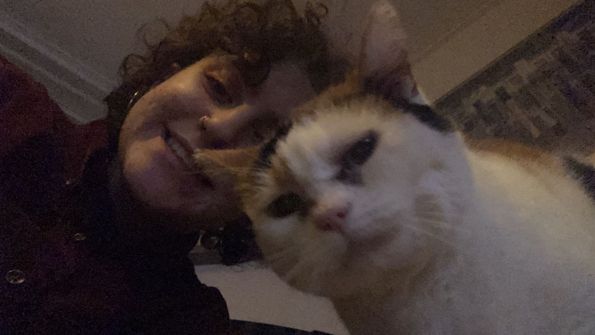 image-6