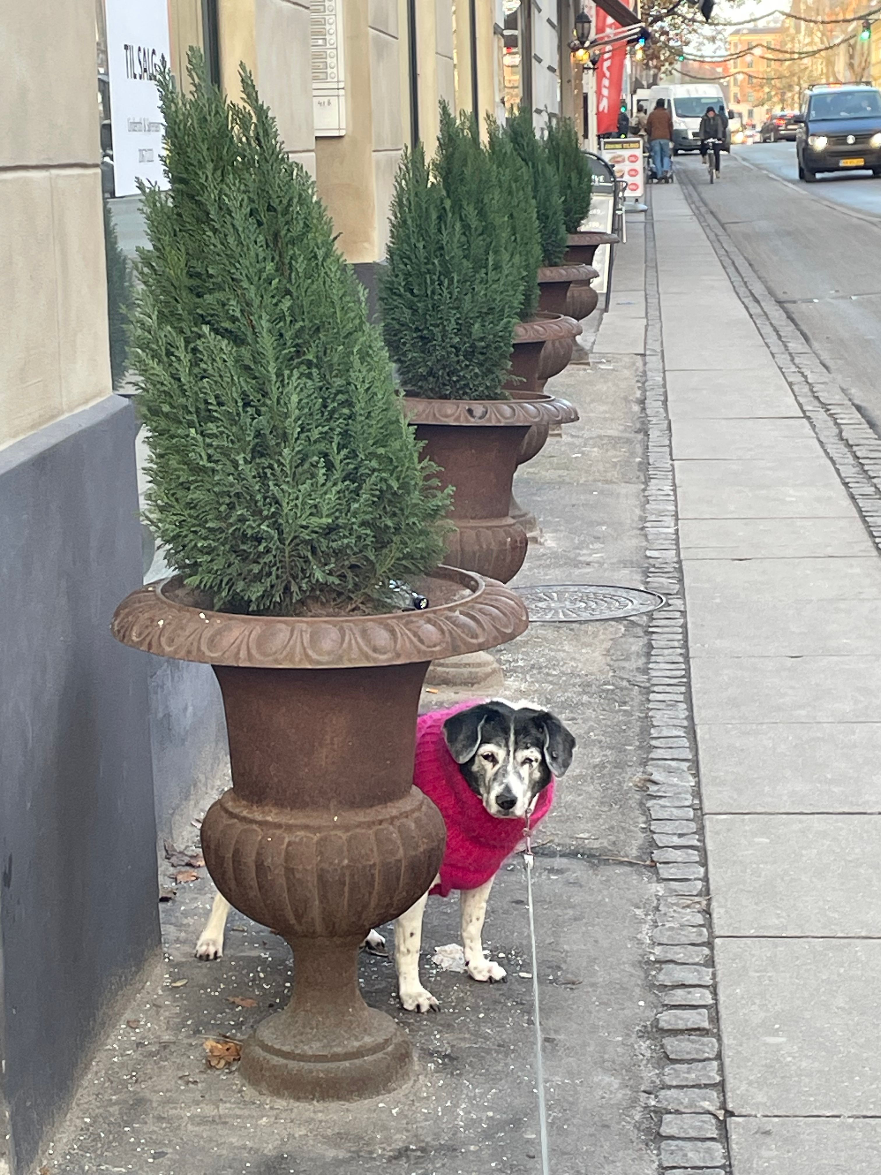 image-9