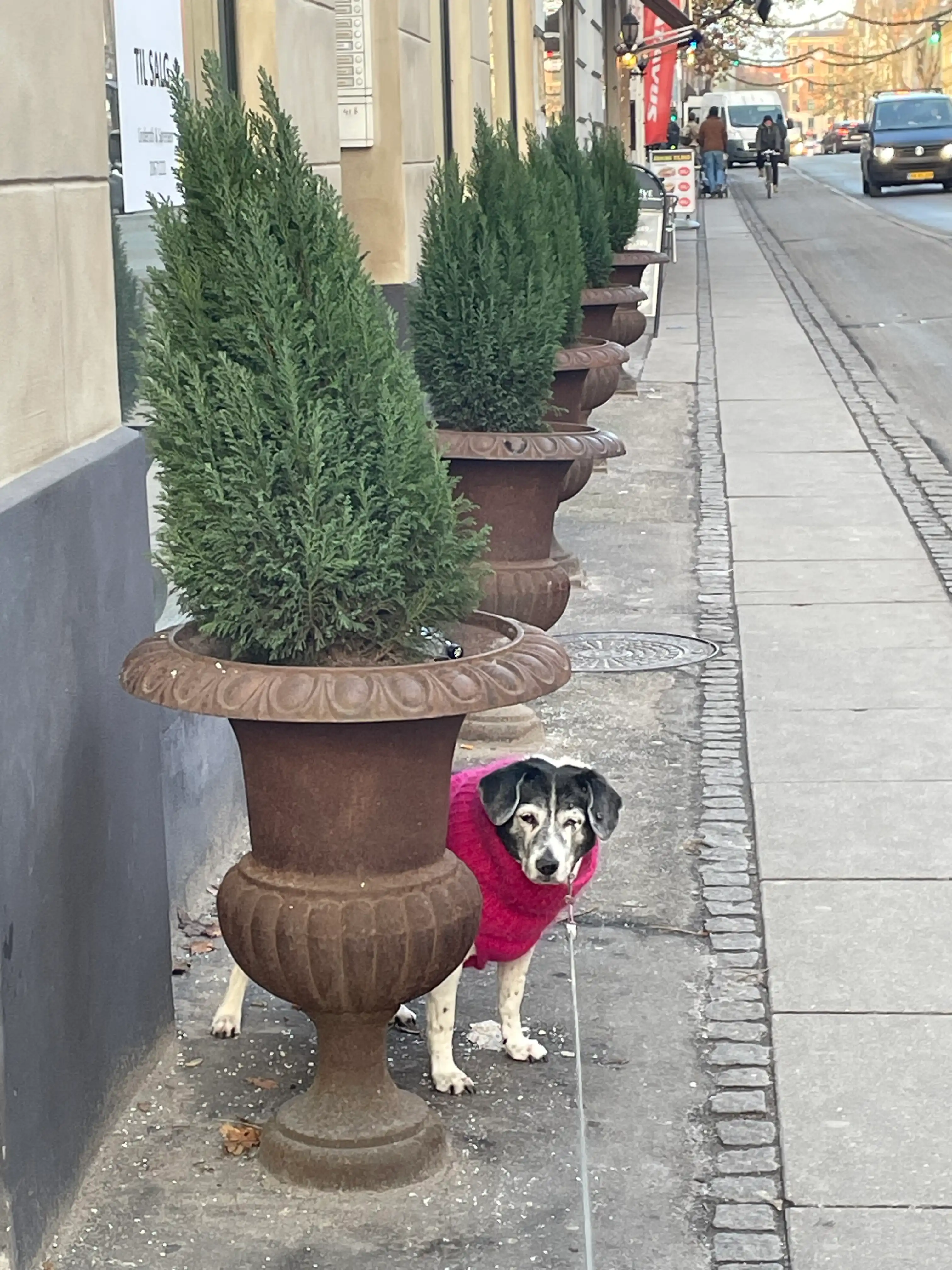 image-9
