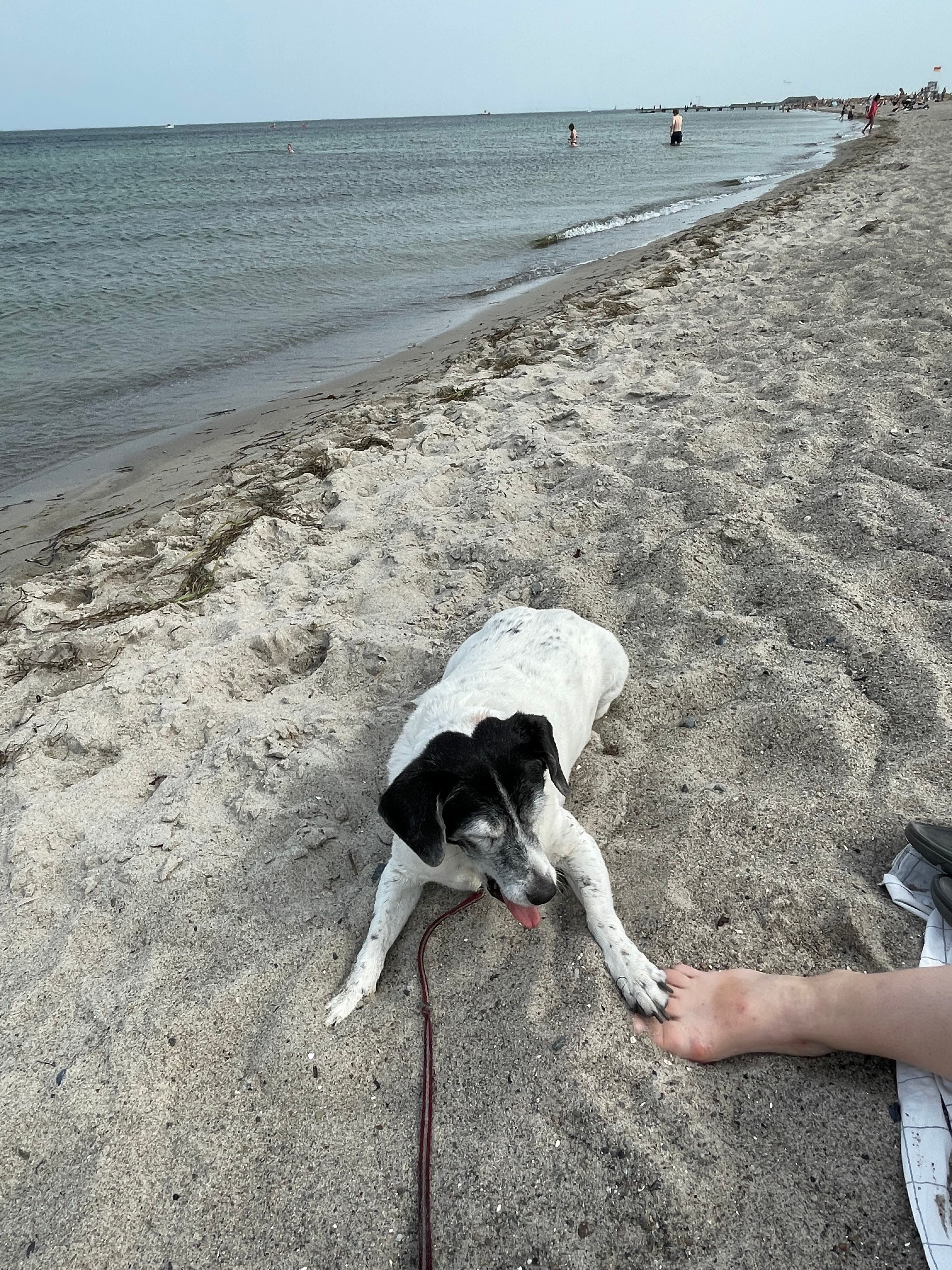 image-8