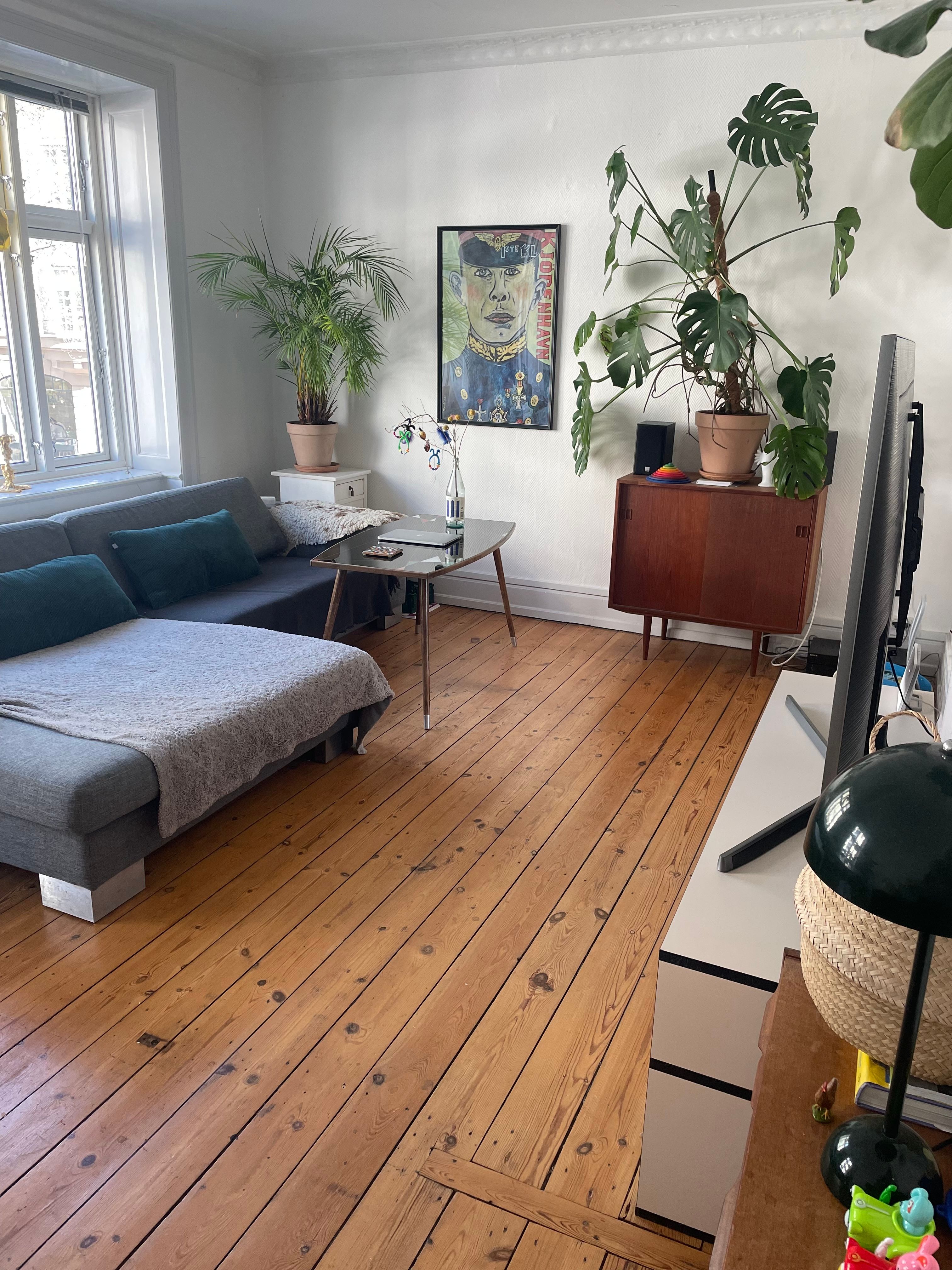 image-19