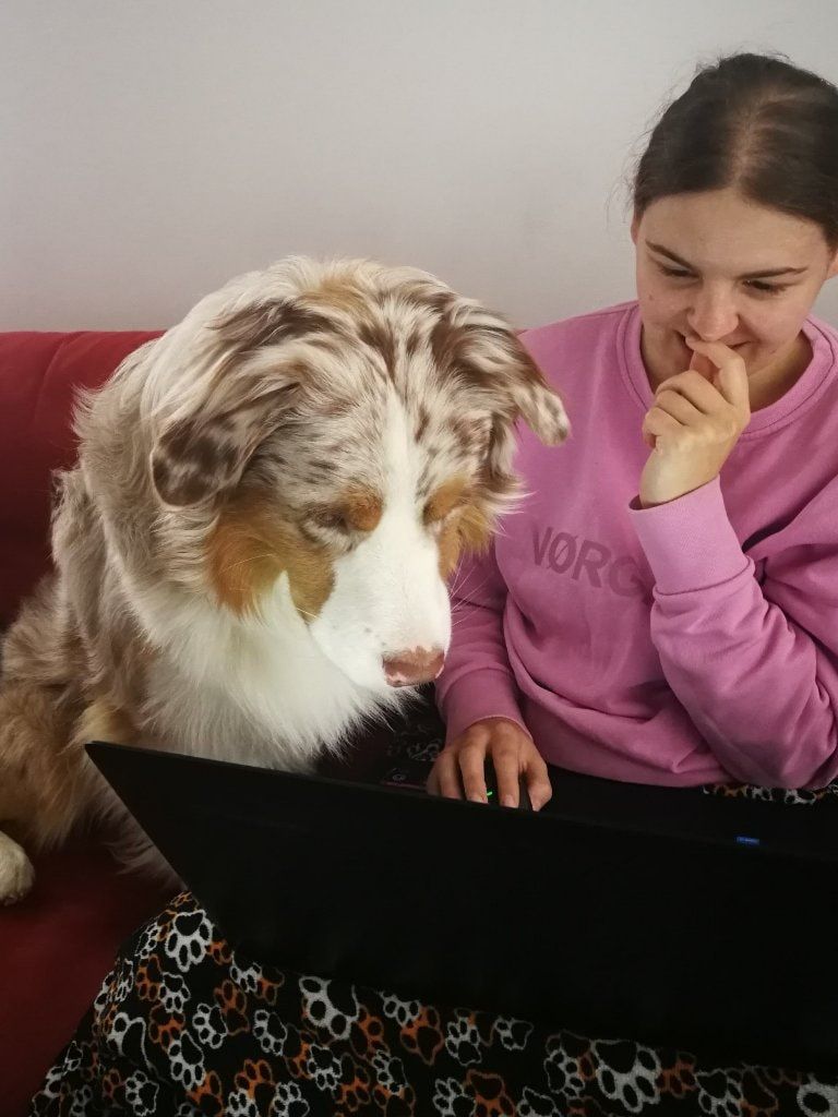 image-6