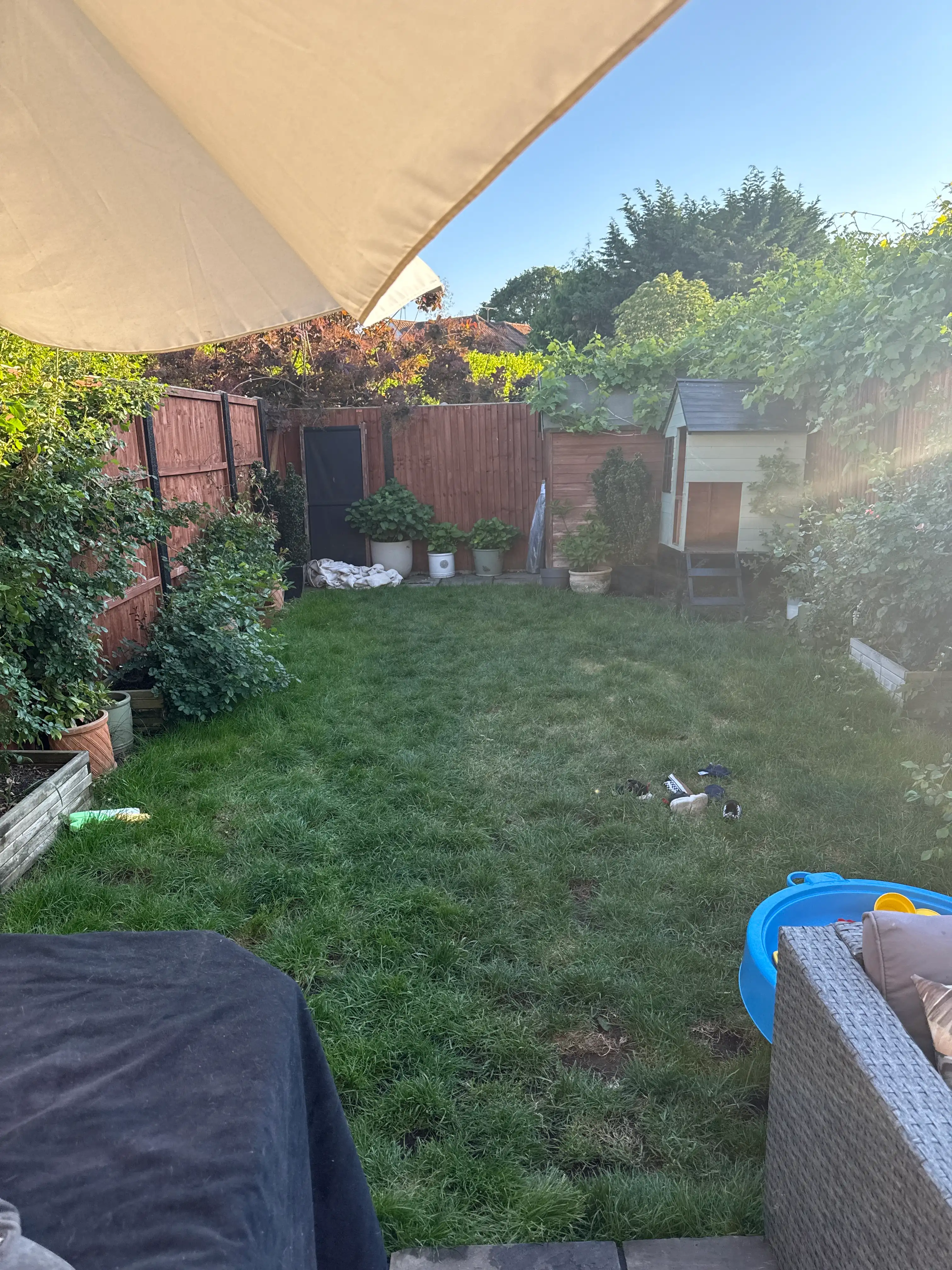 image-8