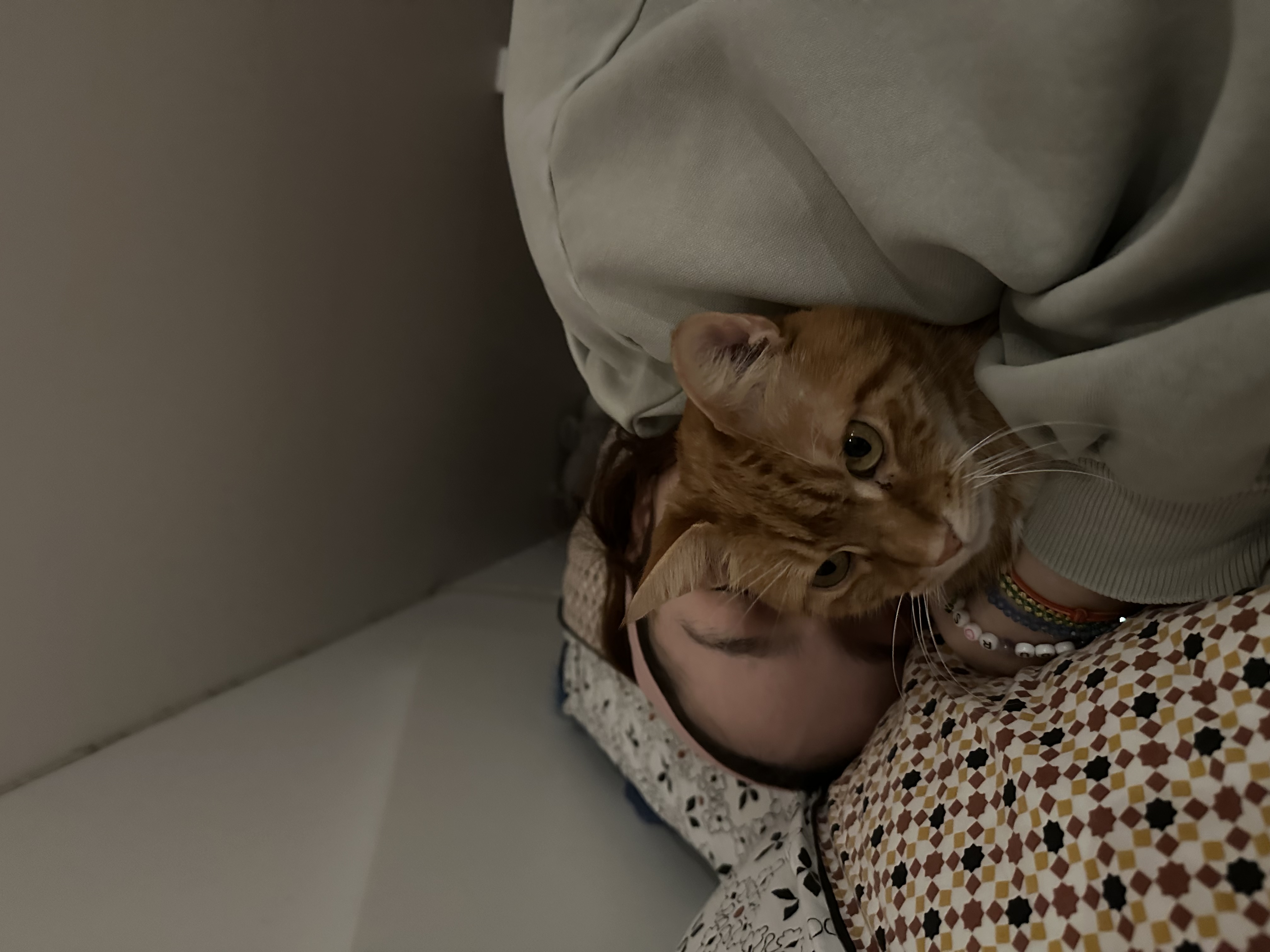 image-5