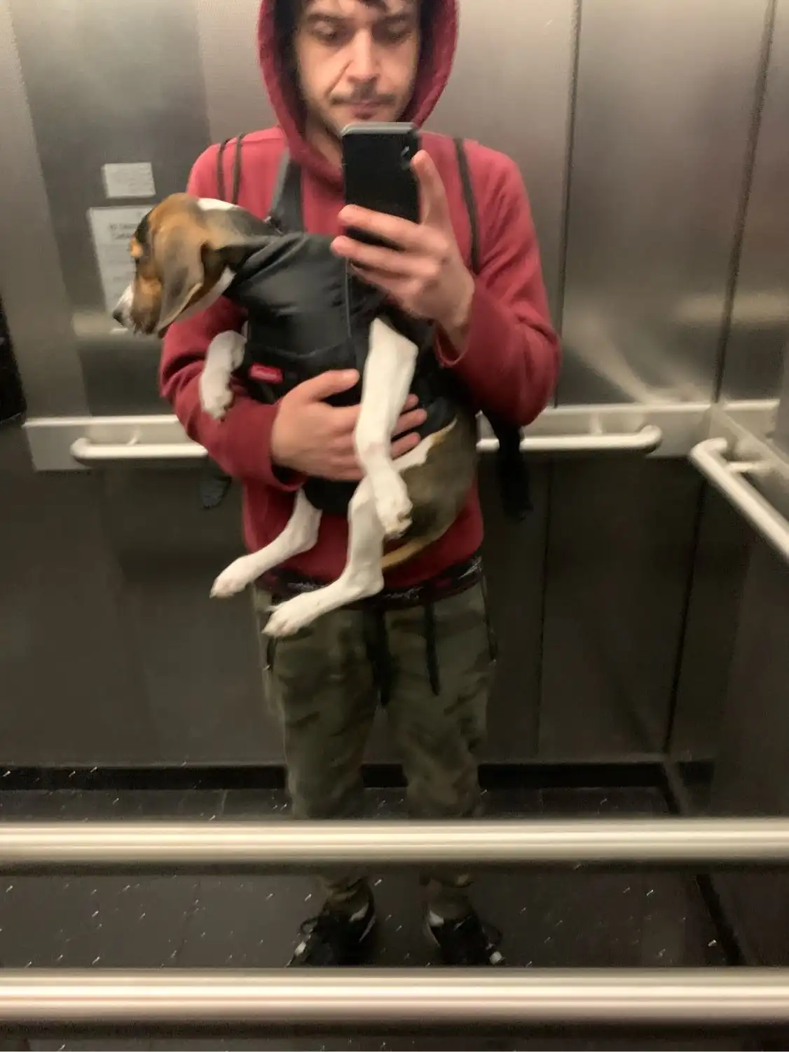 image-6