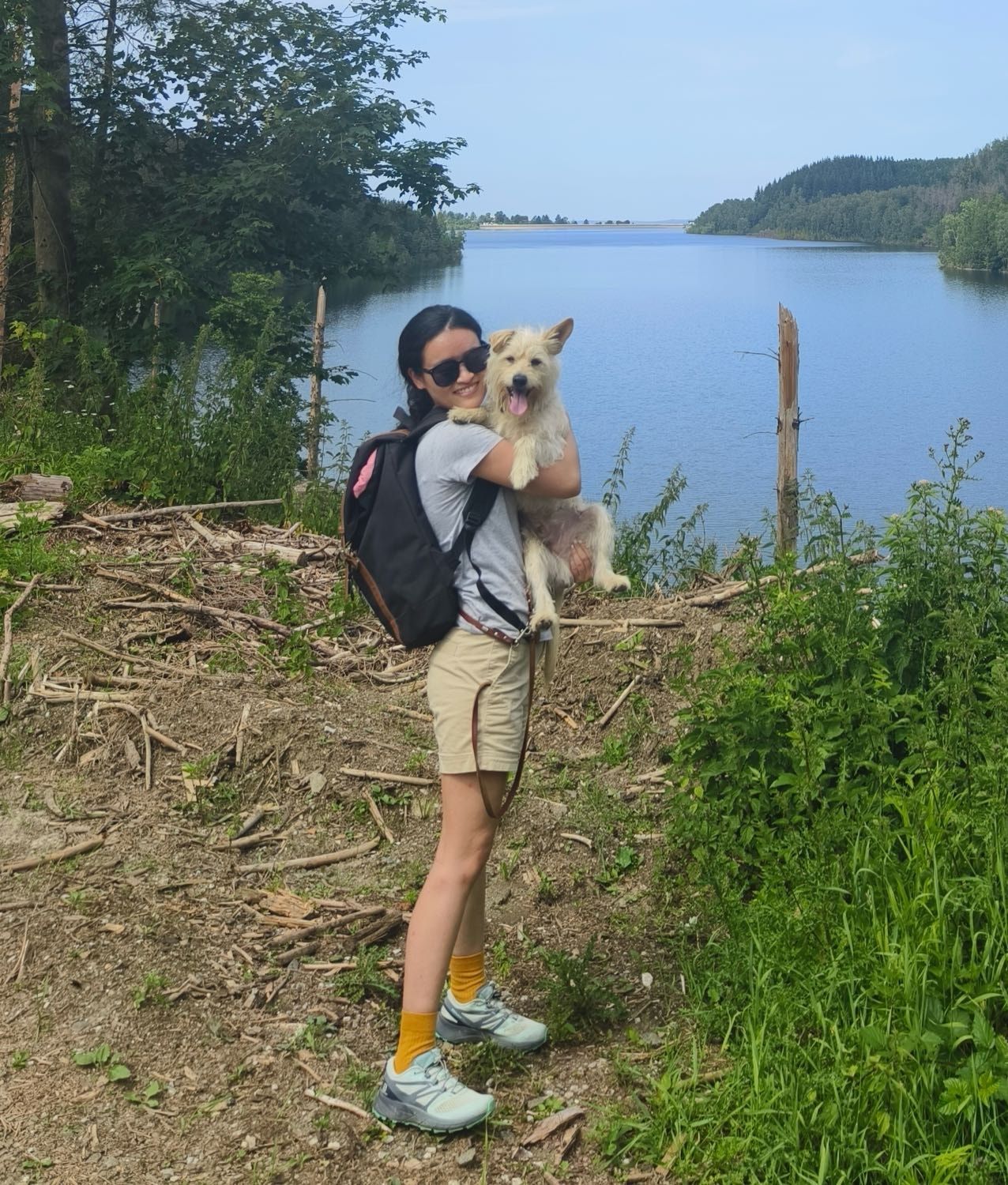 image-5