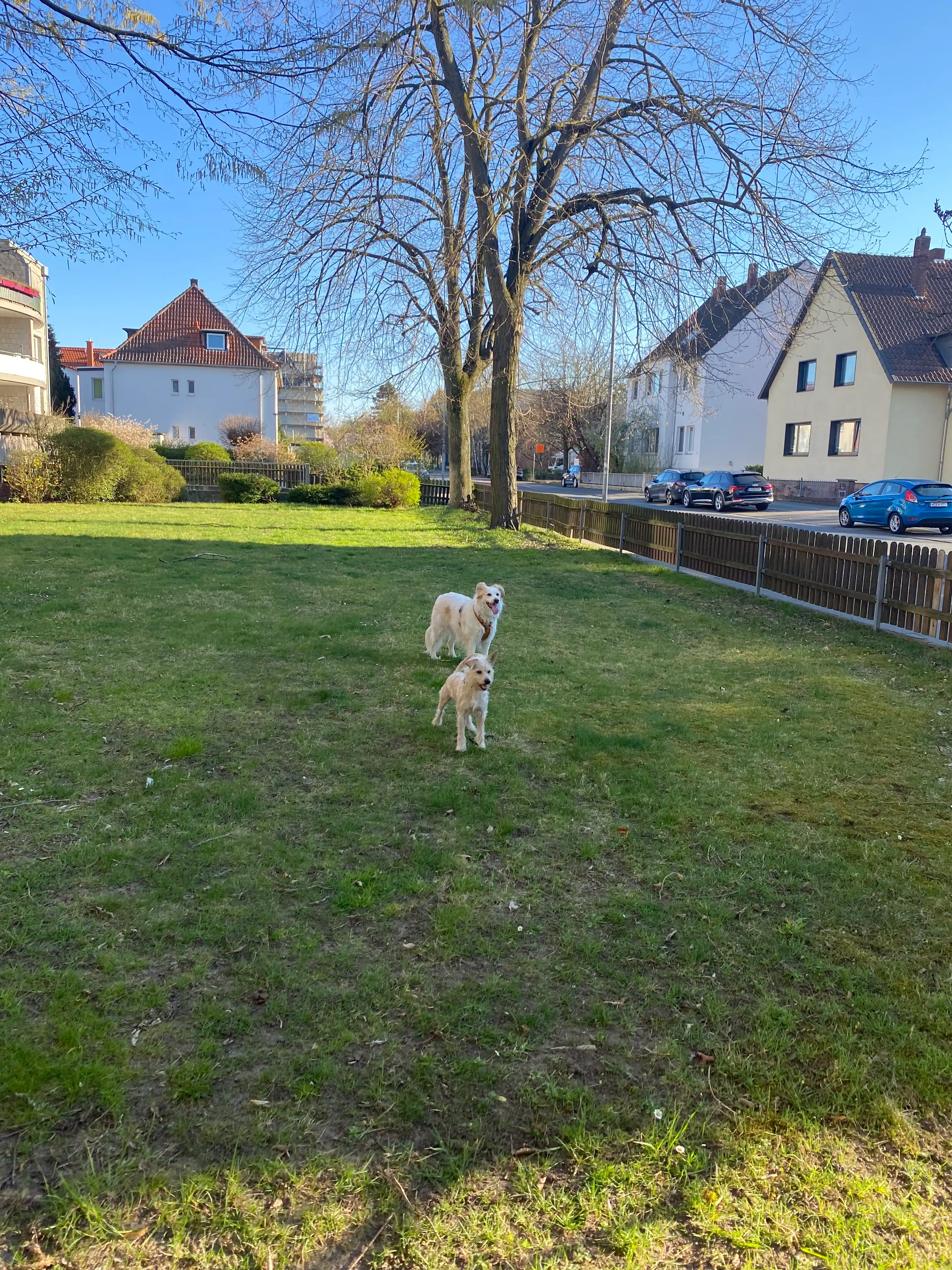 image-17
