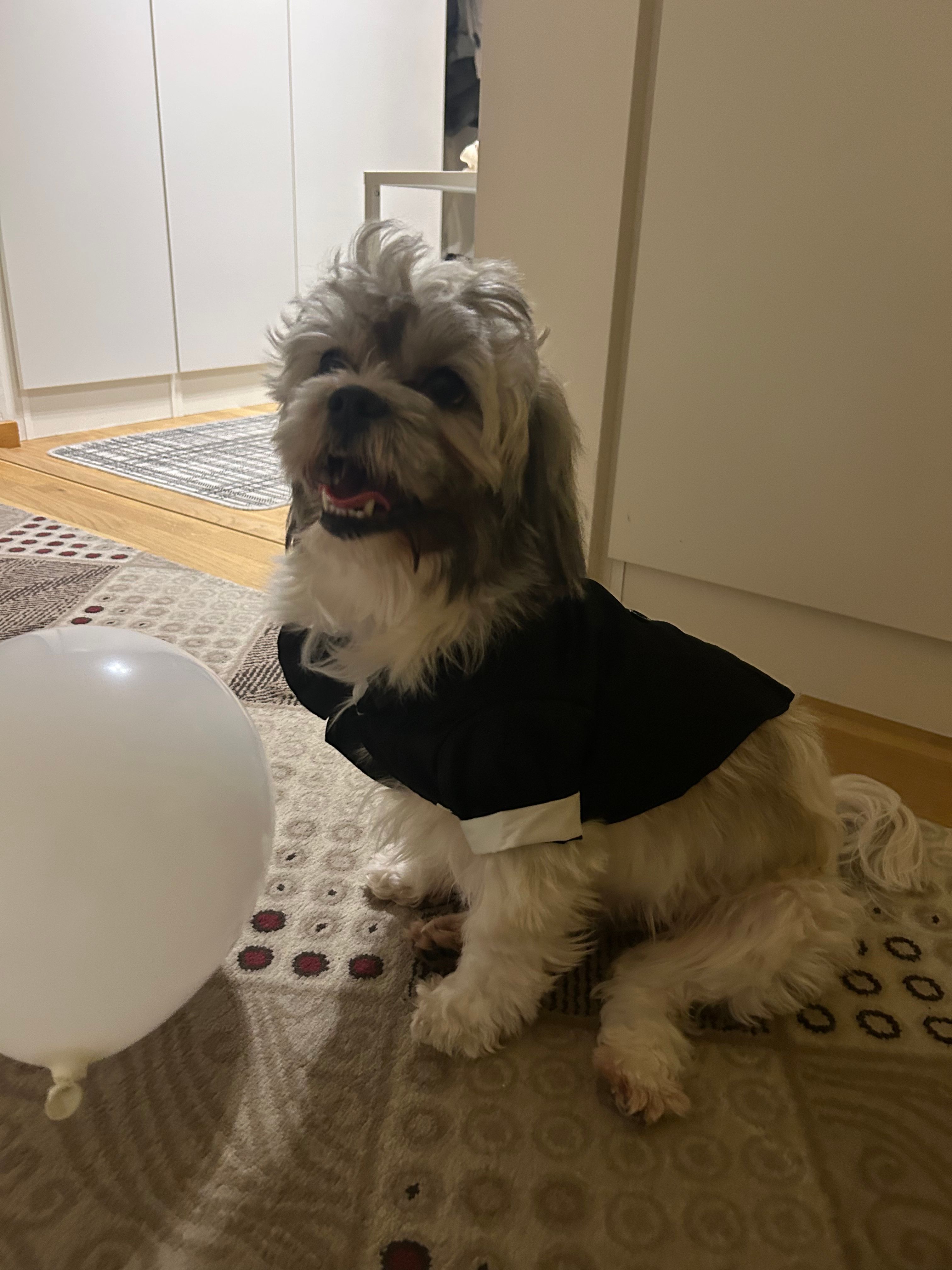 image-7