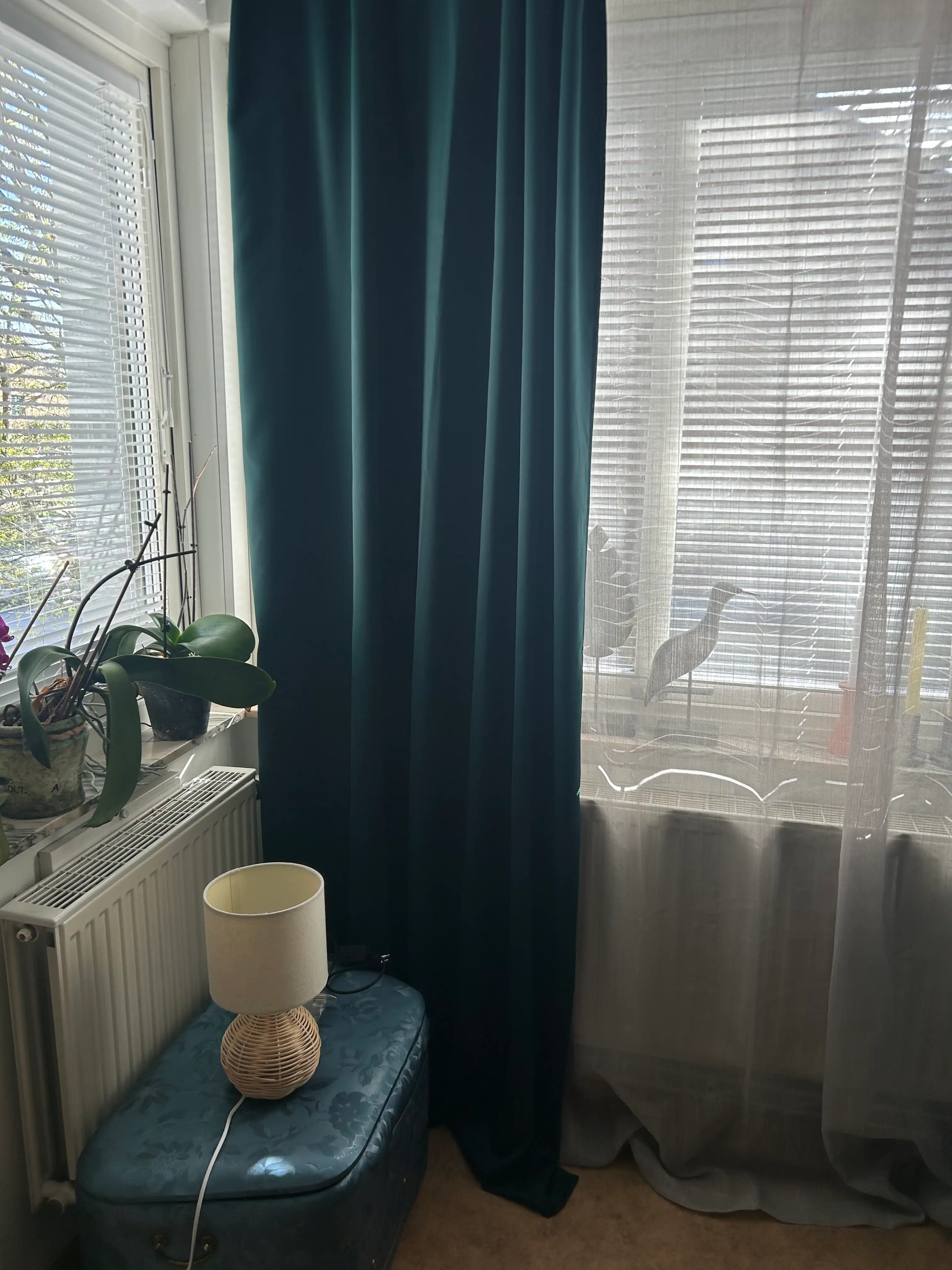 image-10