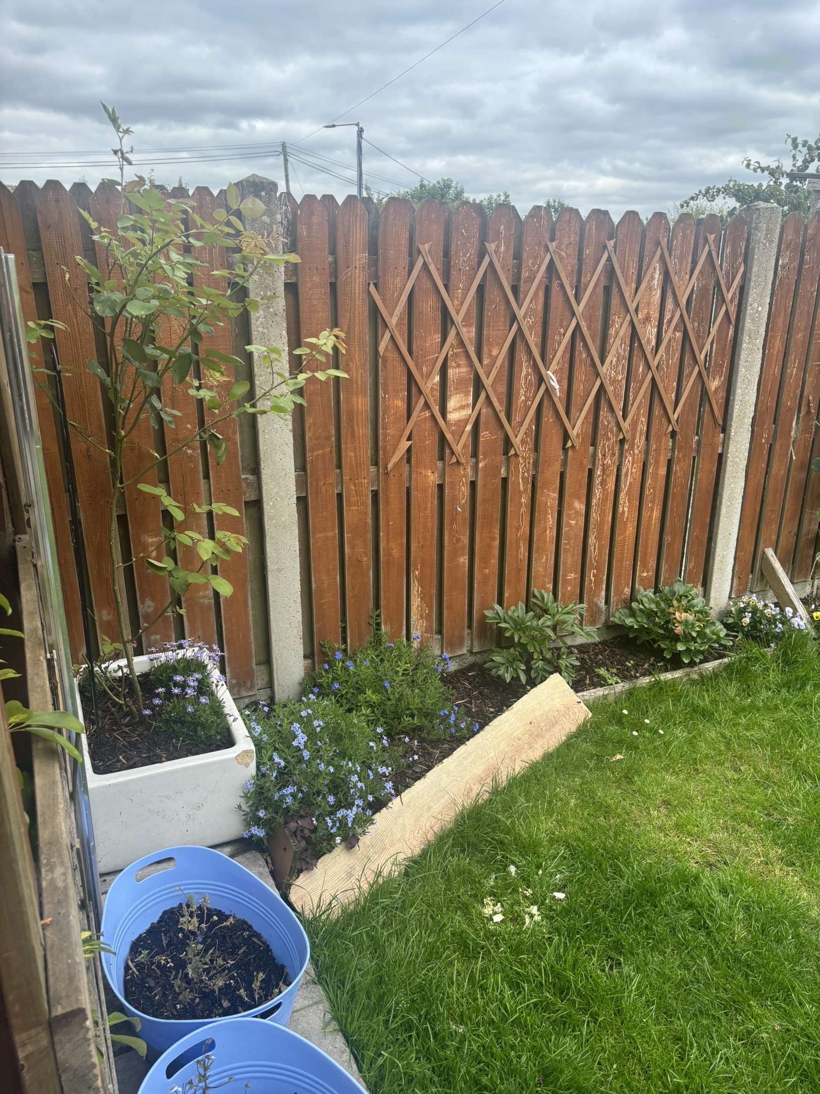 image-20