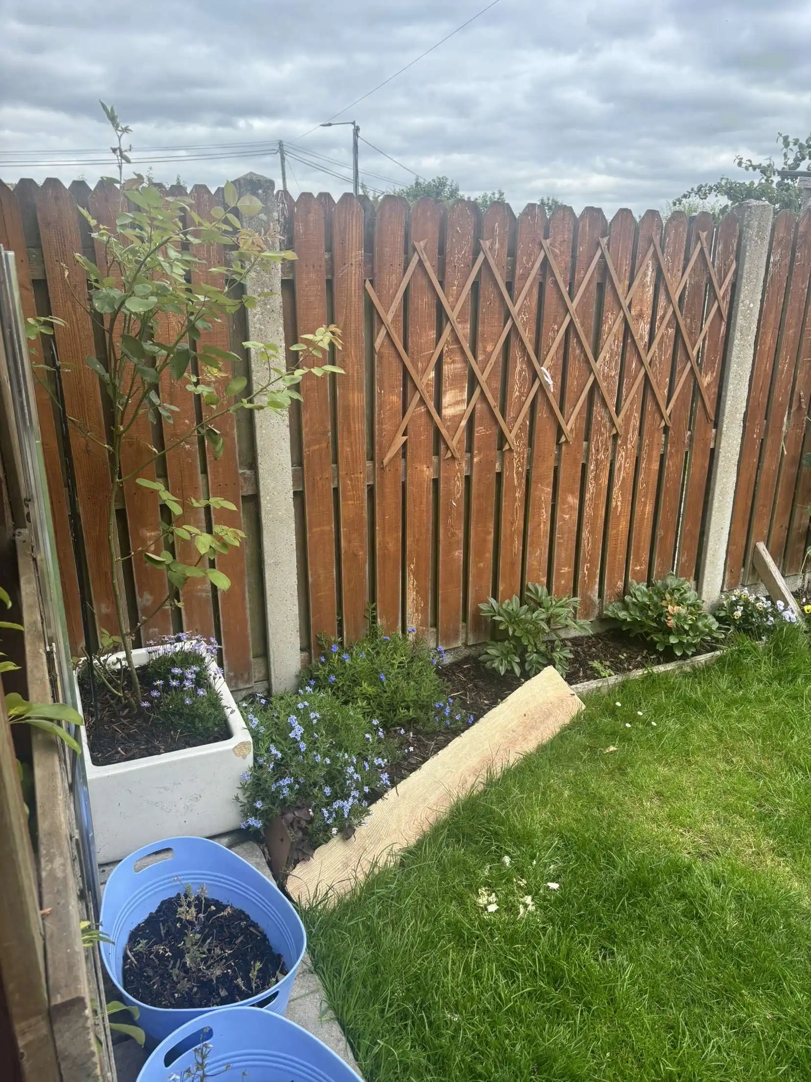 image-20