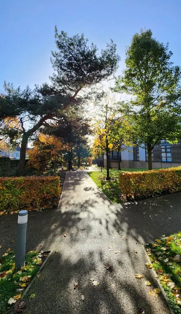 image-3
