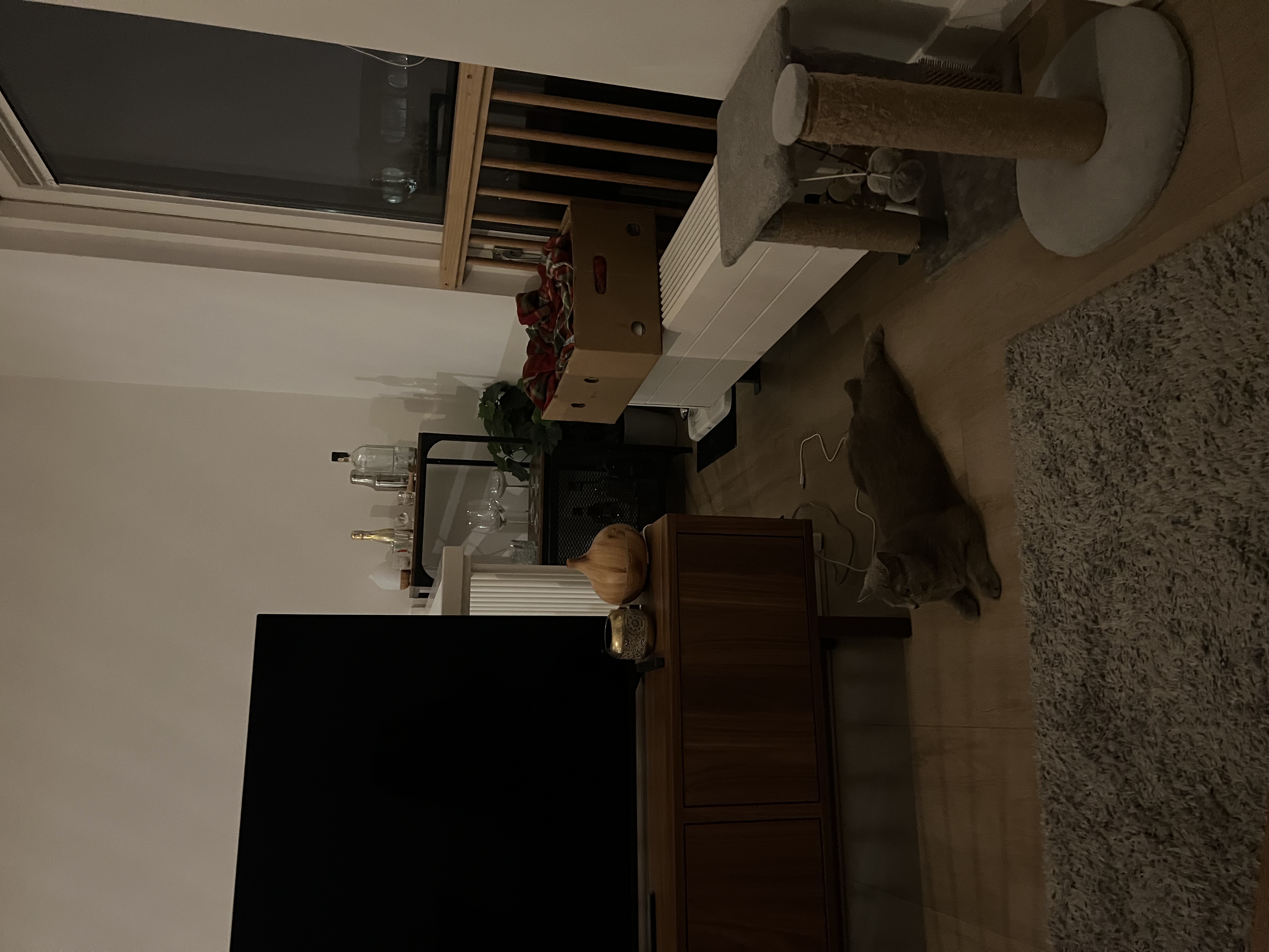 image-8