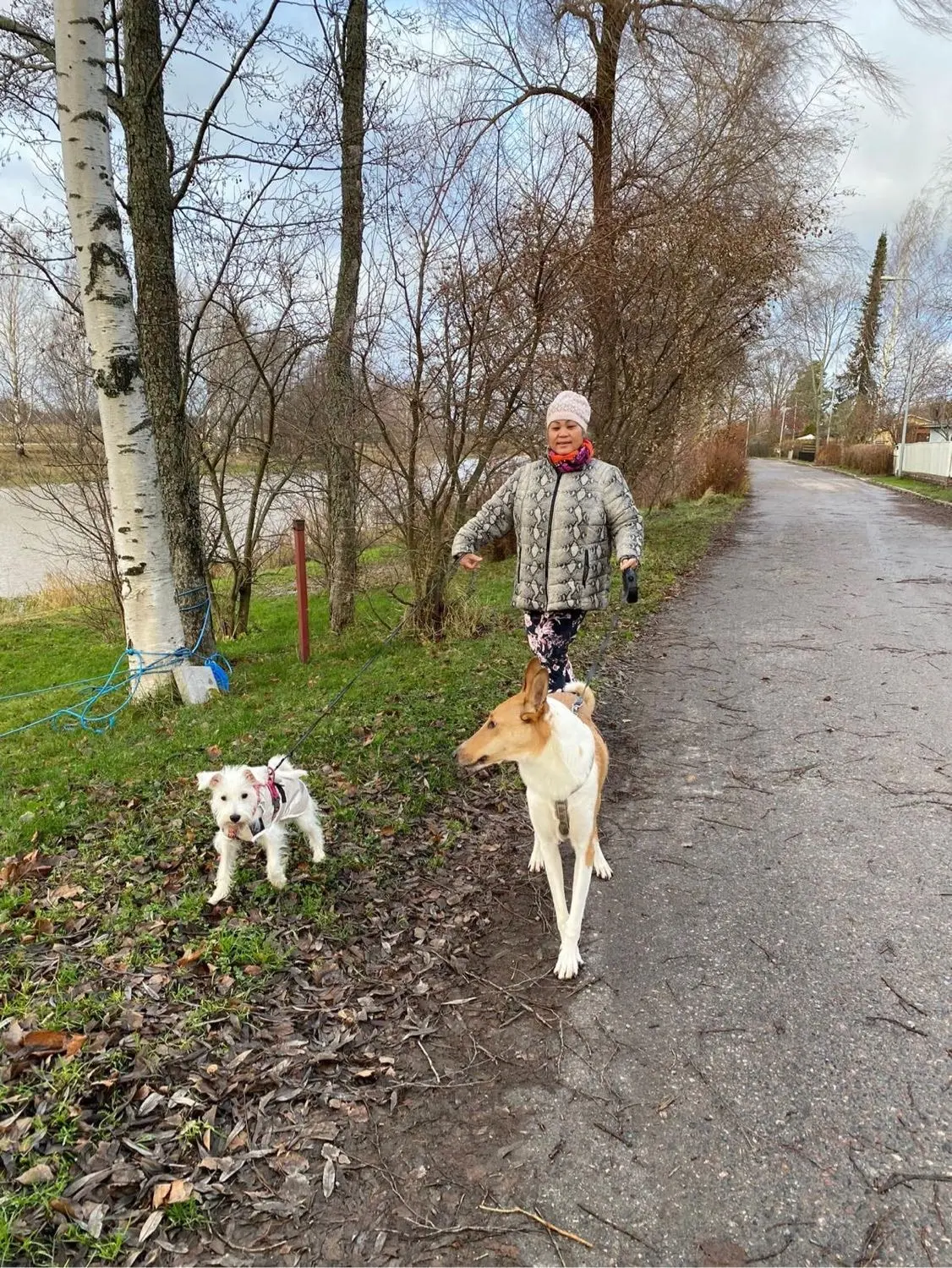 image-0